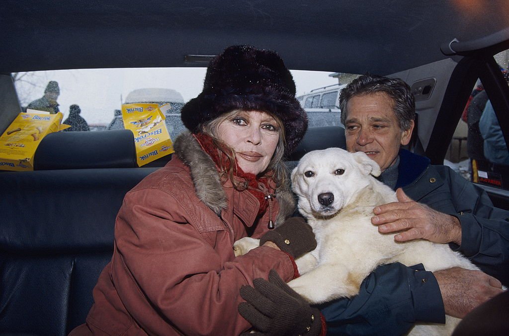 Au nom de sa fondation, Brigitte Bardot s'est rendue à Bucarest pour plaider la cause des animaux. Ici, Brigitte et son mari Bernard d'Ormale avec le berger blanc qu'elle ramène à la Madrague. Février 1998. | Photo : Getty Images