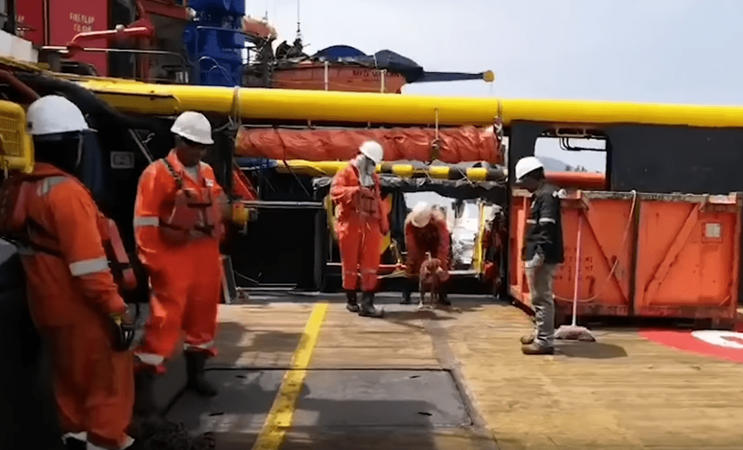 Trabajadores de la plataforma atendiendo al perro rescatado. | Imagen: YouTube/Viral Press