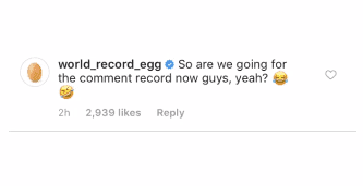 Source: Instagram/world_record_egg/
