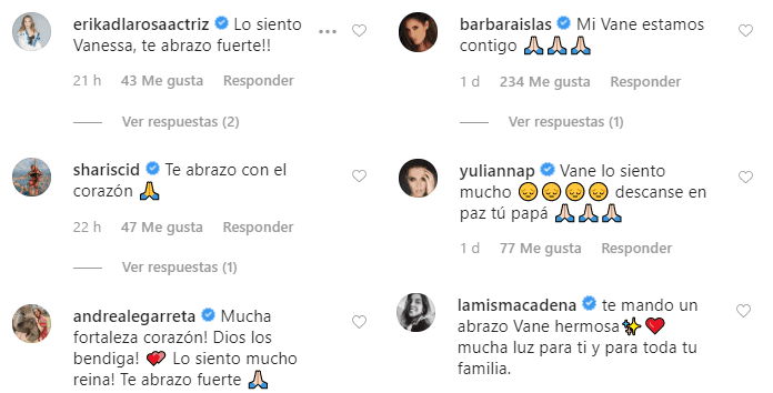 Comentarios recibidos por Vanessa Guzmán. |Foto: Instagram/vanessaguzmann/
