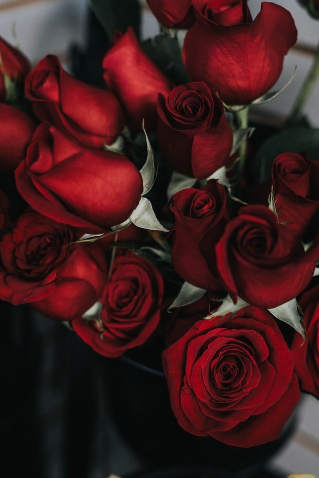 I sent her 100 red roses and an anonymous invitation to dinner | Source: Unsplash
