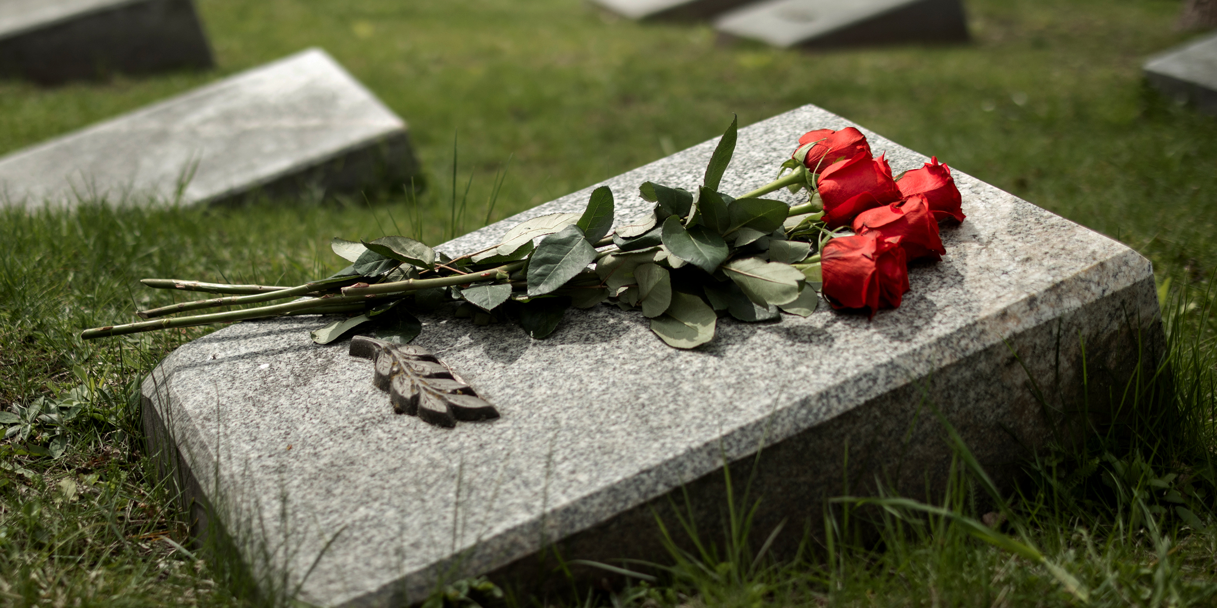 Red roses on a grave | Source: Freepik
