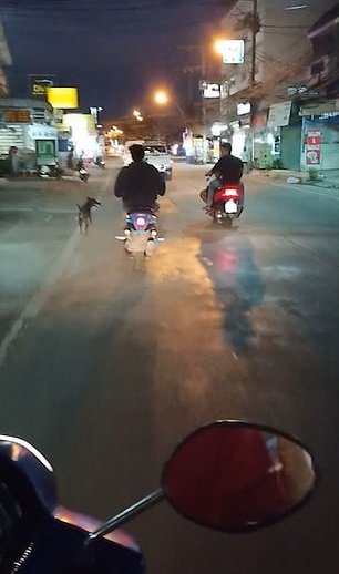 Perro corriendo tras la camioneta de sus dueños.| Imagen tomada de: YouTube/Viral Press Perro corriendo tras la camioneta de sus dueños.| Imagen tomada de: YouTube/Viral Press