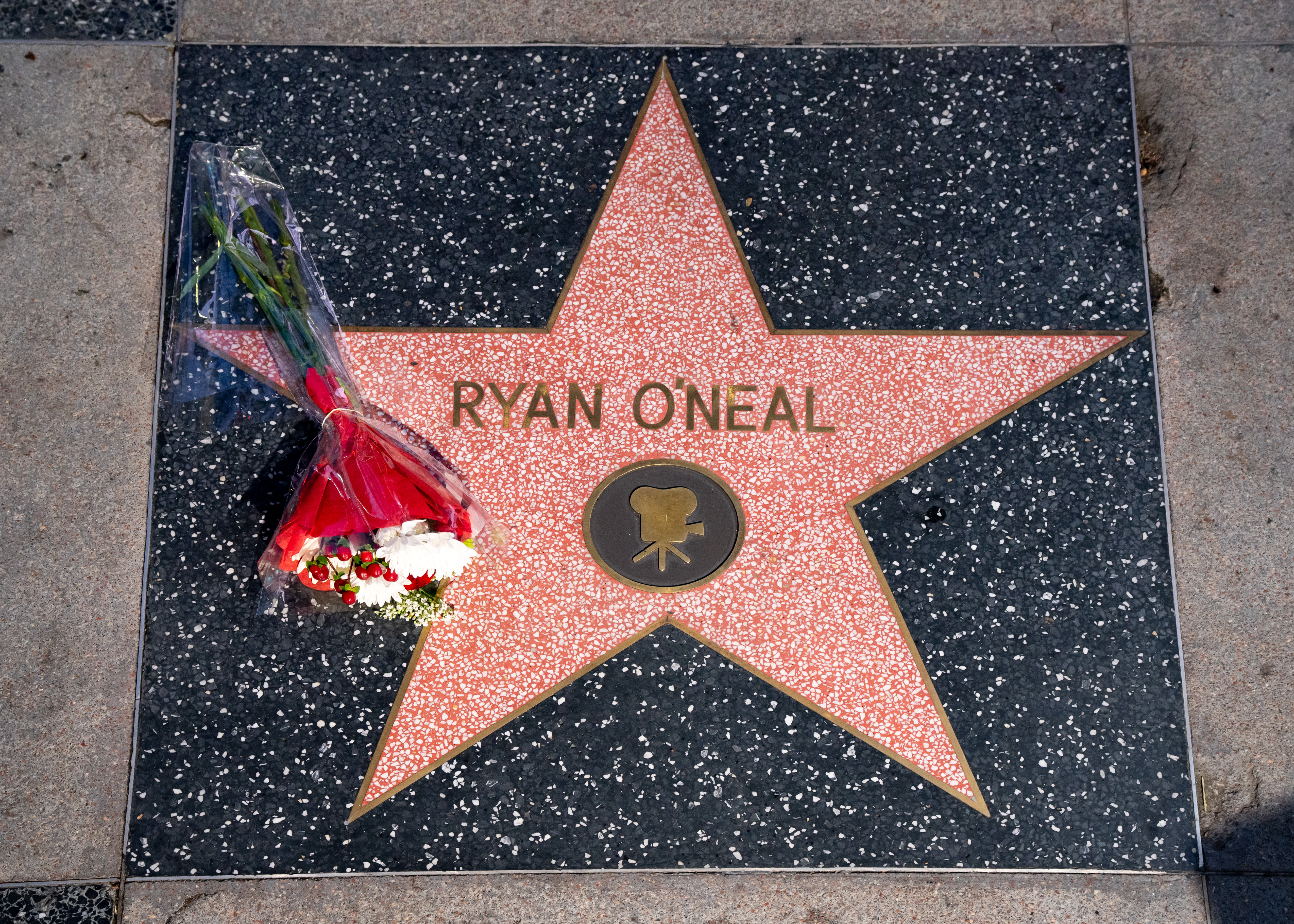 Ryan O'Neal's star on the Walk of Fame in 2023 | Source: Getty Images