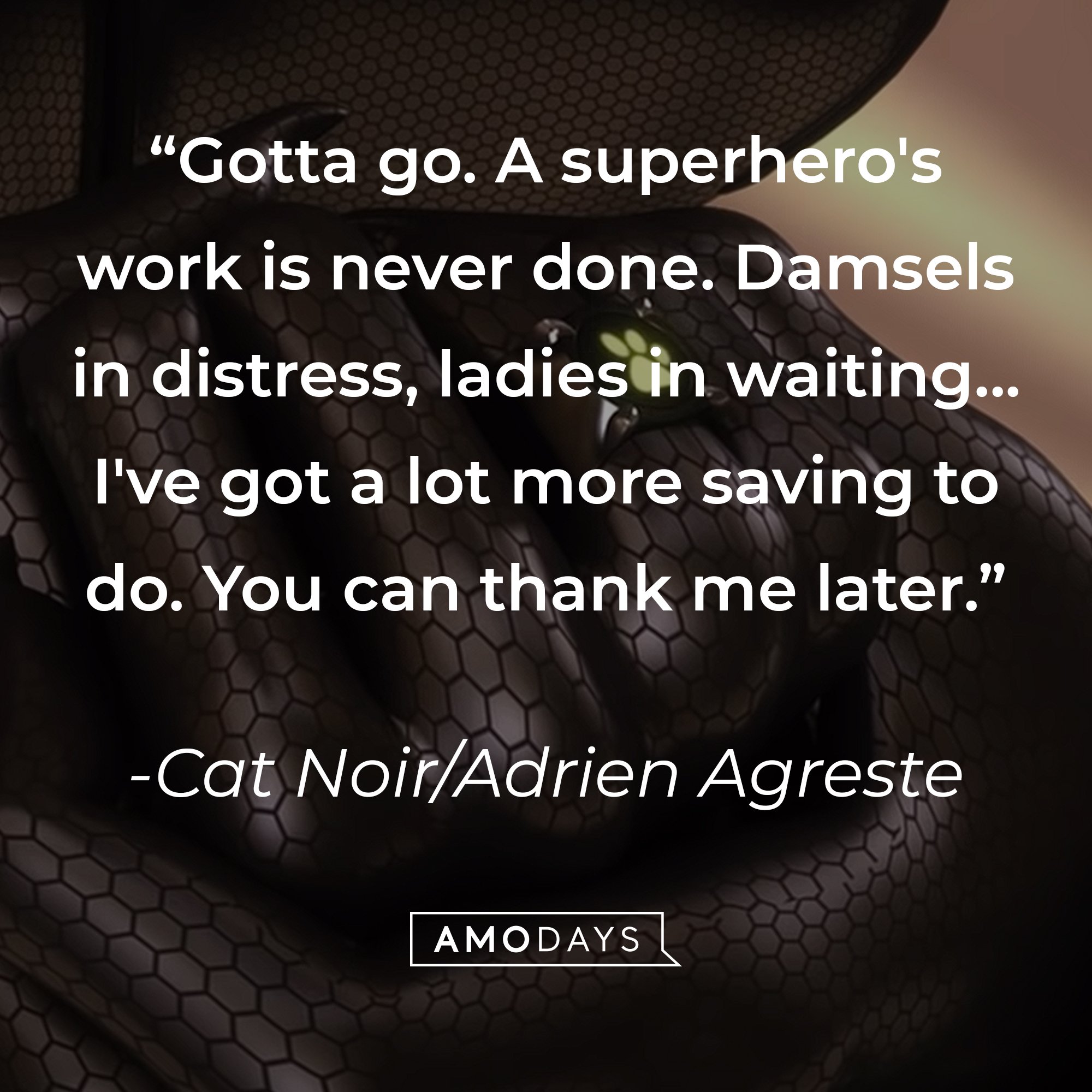  Cat Noir/Adrien Agreste’s quote: “Gotta go. A superhero's work is never done. Damsels in distress, ladies in waiting... I've got a lot more saving to do. You can thank me later.”  | Image: AmoDays 