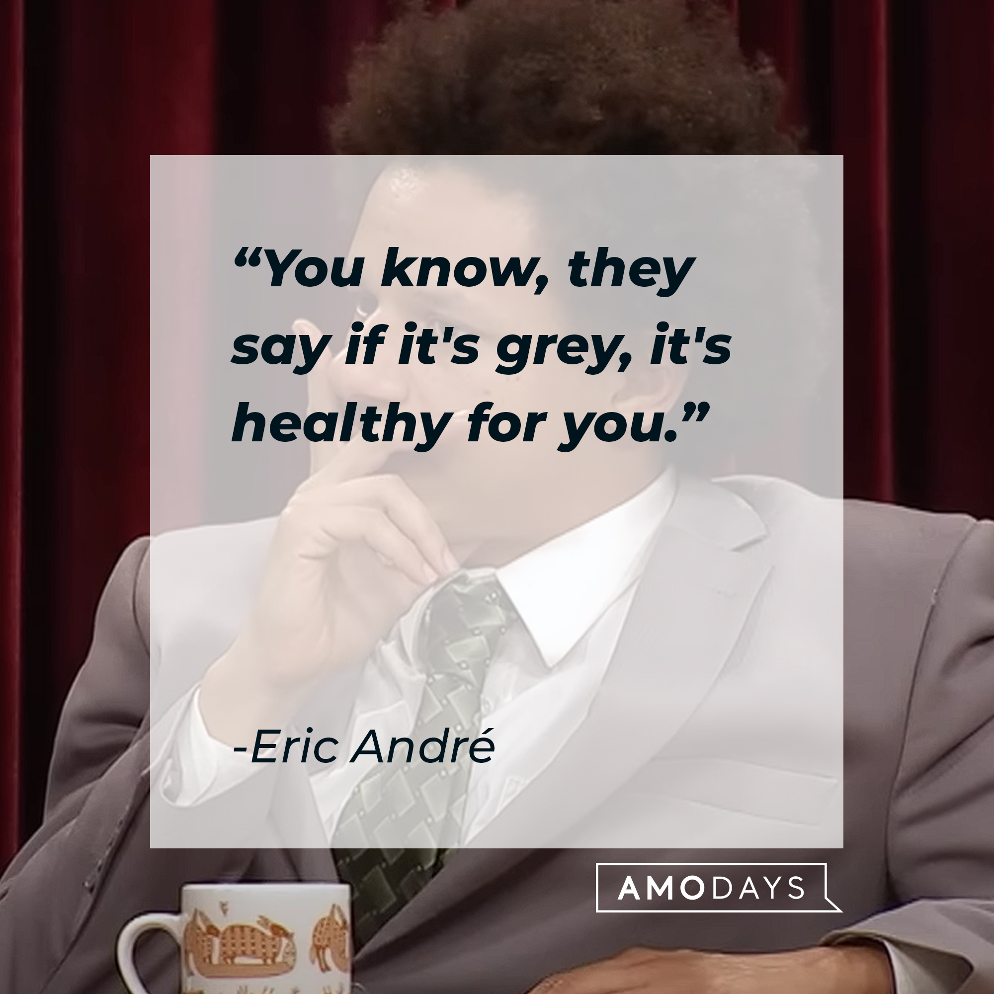 Eric André's quote: "You know, they say if it's grey, it's healthy for you." | Source: Youtube.com/adultswim