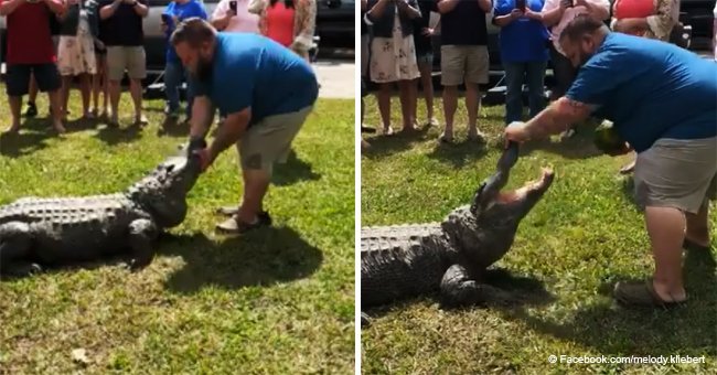 Man taunts giant 'gator as part of a daring baby gender reveal
