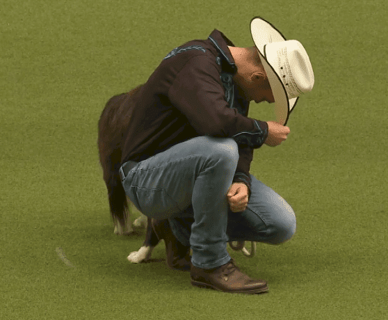 Source: YouTube/Crufts Source: YouTube/Crufts