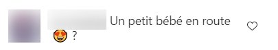 Commentaire d'une fan sur la photo de Amandine. | Photo : Instagram / famille.pellissard.tf1