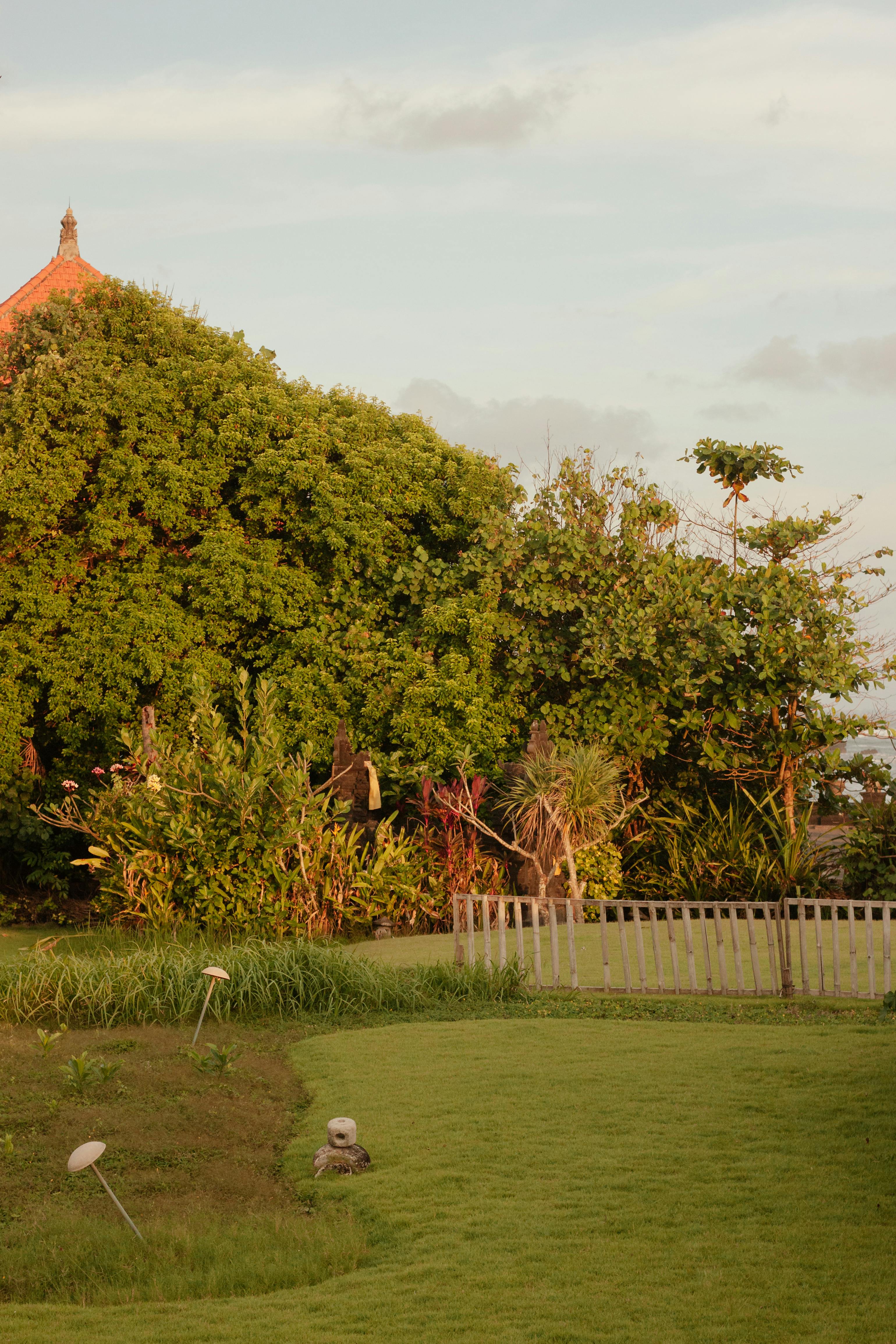 Large country garden with lawn and ornamental grass | Source: Pexels