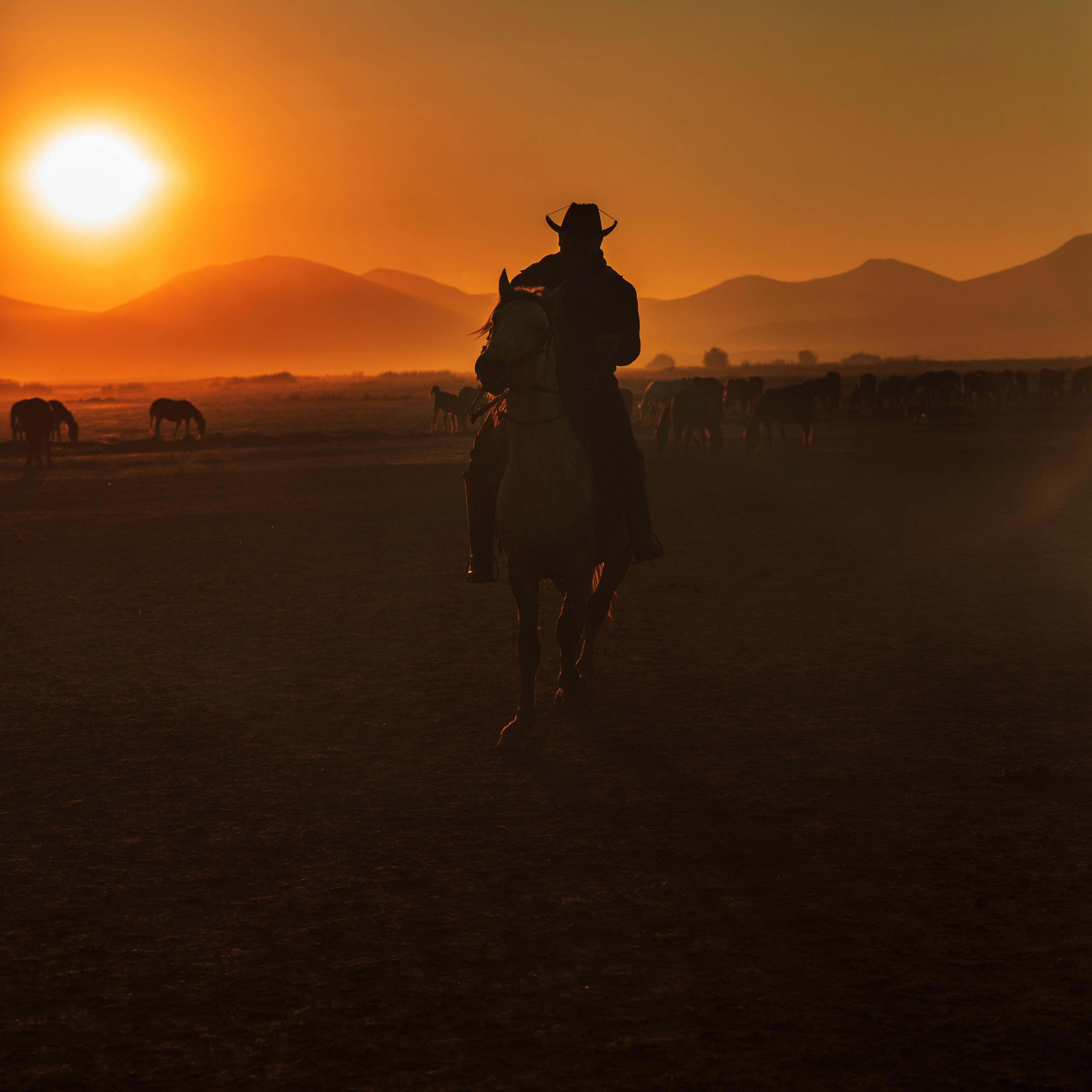 A cowboy riding in the sunset | Source: Pexels