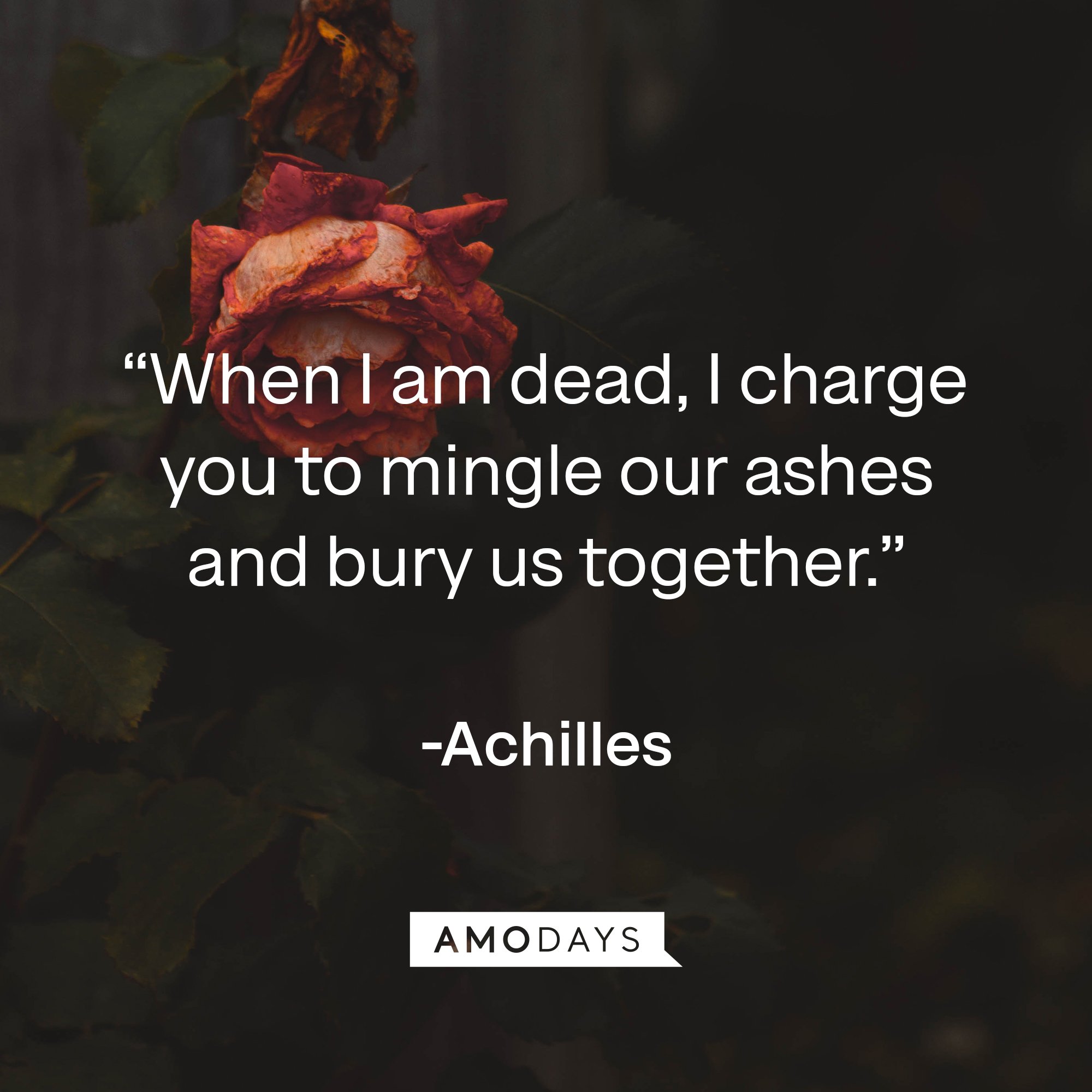 Achilles's quote: “When I am dead, I charge you to mingle our ashes and bury us together.” | Image: AmoDays
