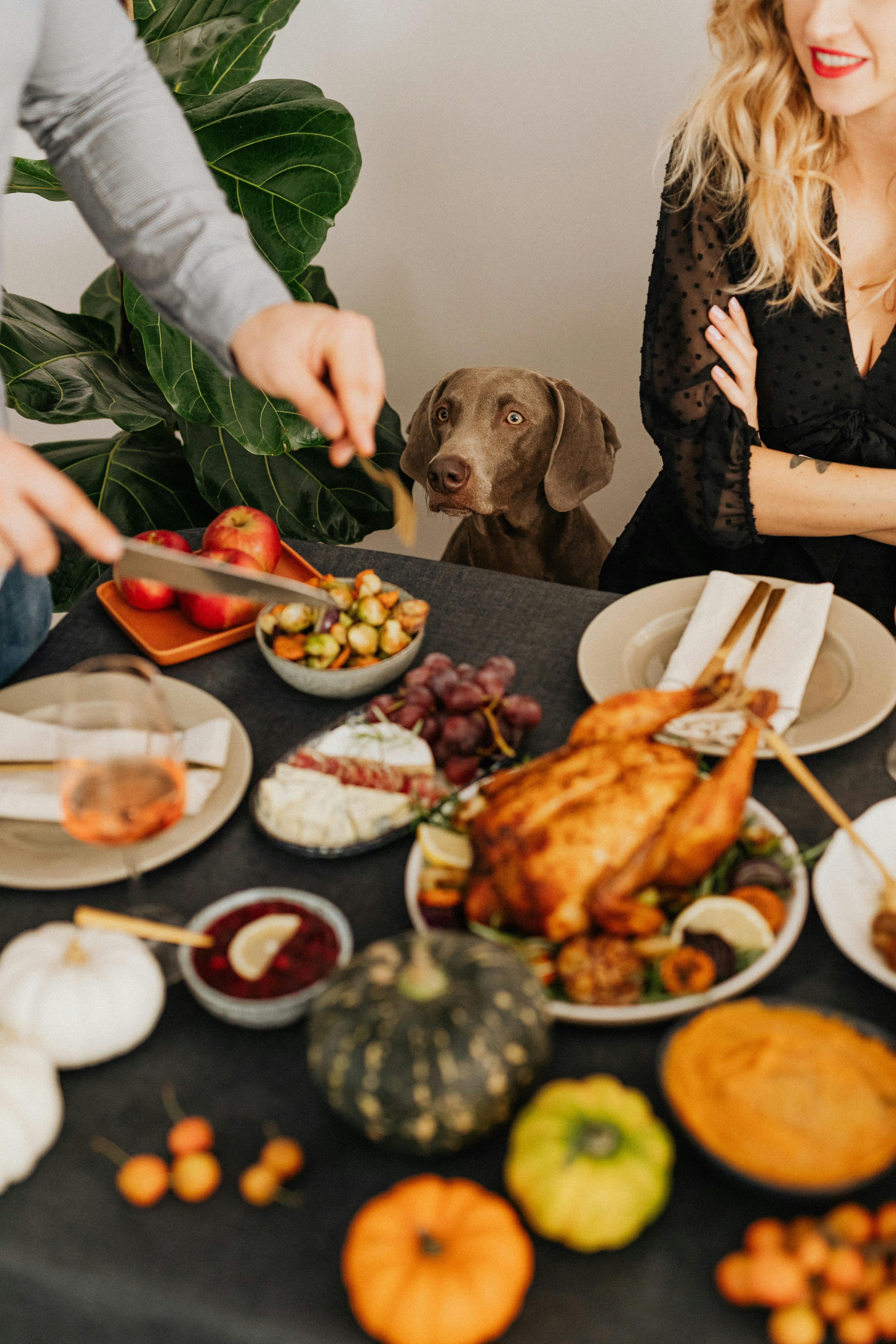 A man taking more food while a woman and a dog watch him | Source: Pexels