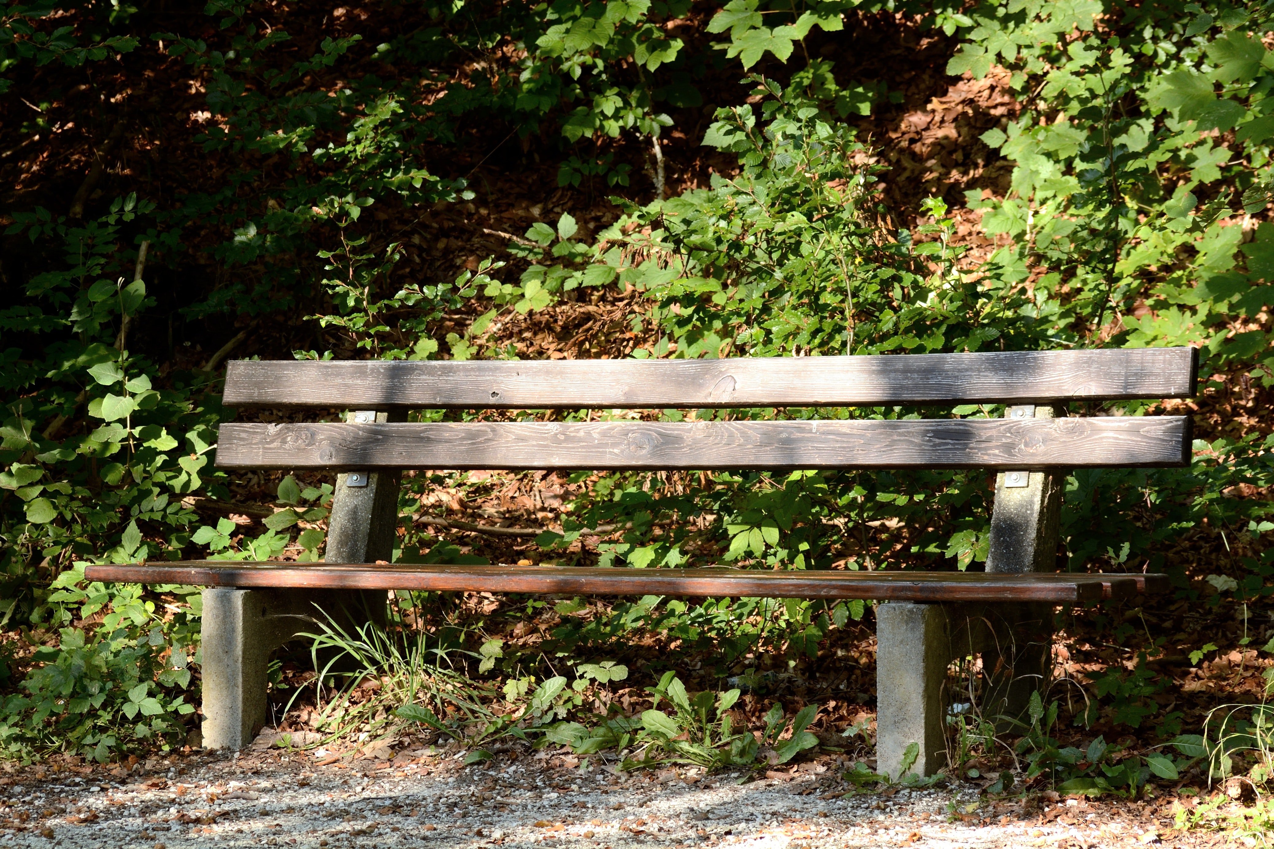 Linda and Laura found a bench nearby | Source: Pexels