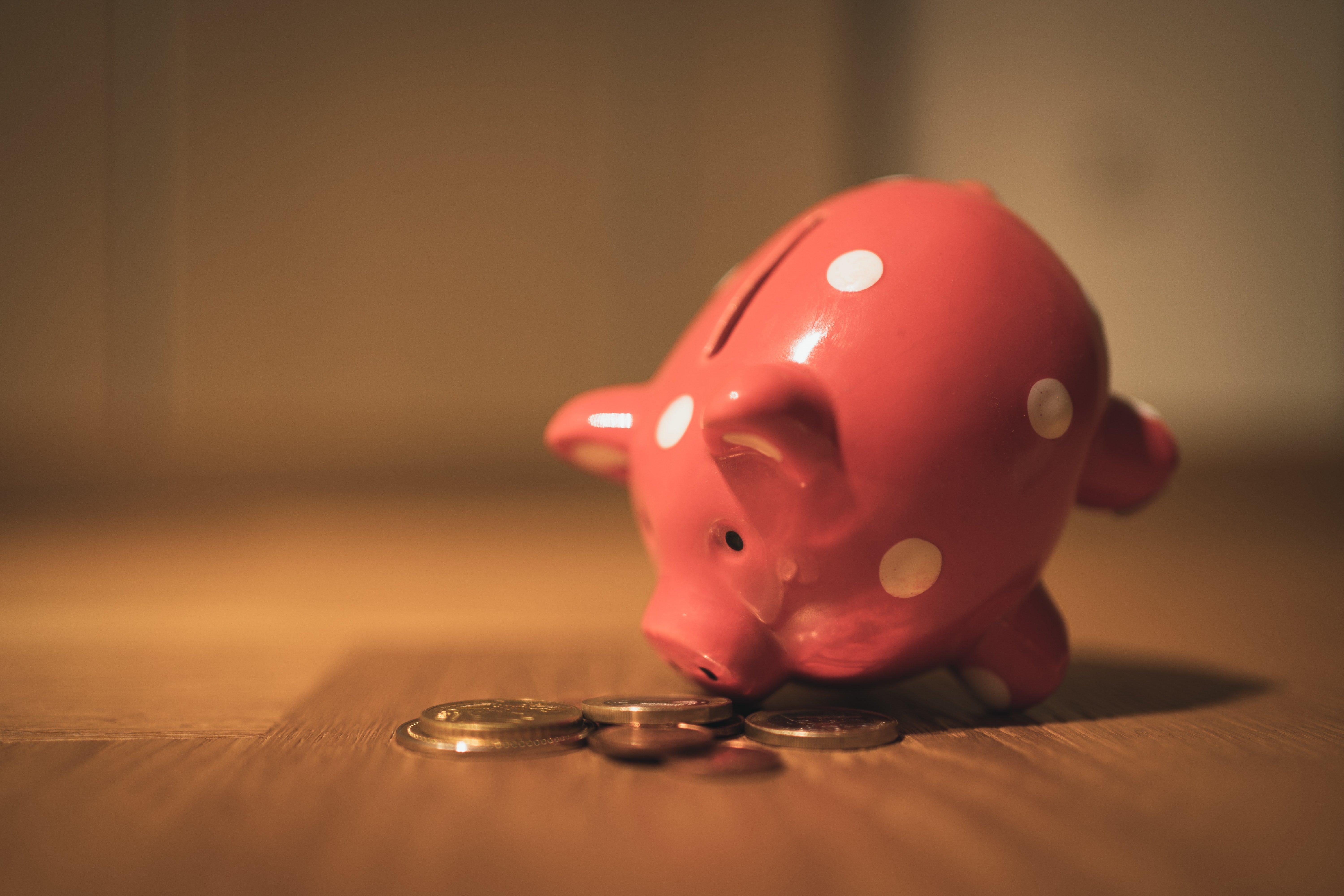 Mindy wanted to get money from her piggy bank. | Source: Unsplash