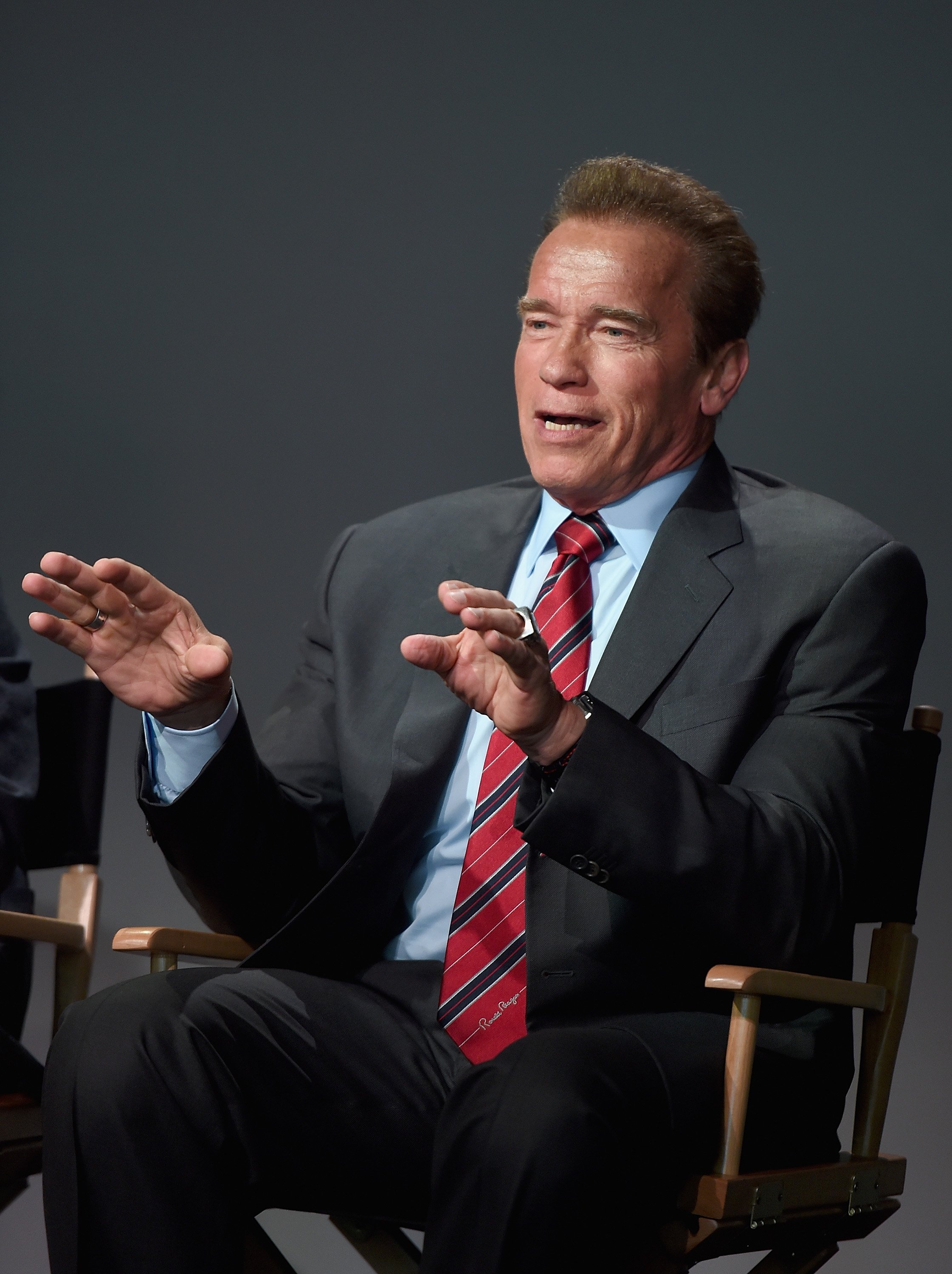 Arnold Schwarzenegger in New York 2015. |  Source: Getty Images