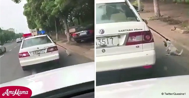 Police car drags stray pup by its neck
