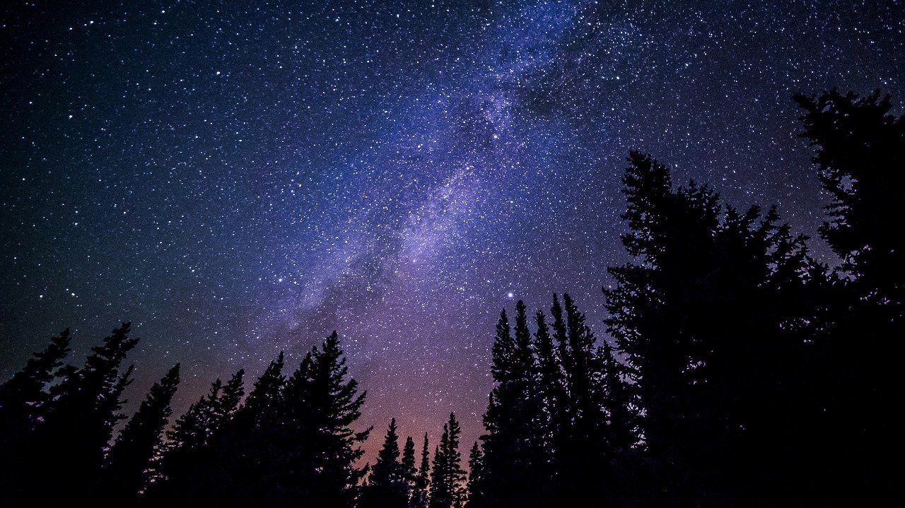  A starry sky at night from a forest. I Image: Pixabay.