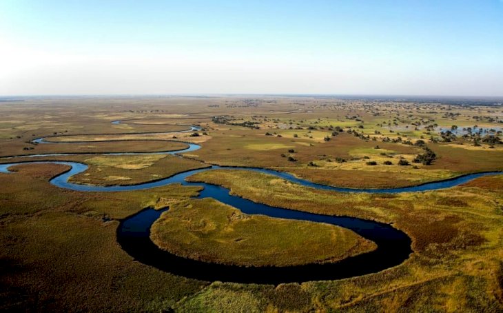 Aerial view of the Okavango River| Photo by Wynand Uys on Unsplash 