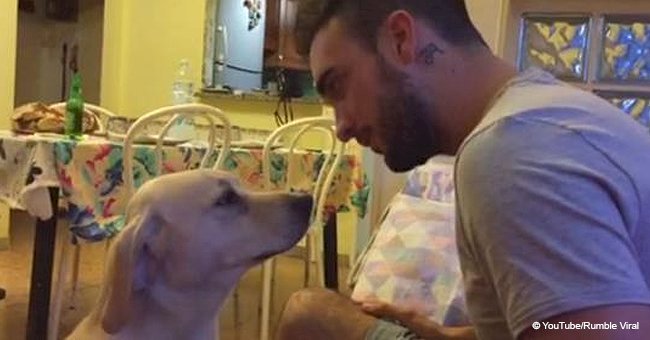 Heartbreaking video of dog asking for forgiveness quickly went viral