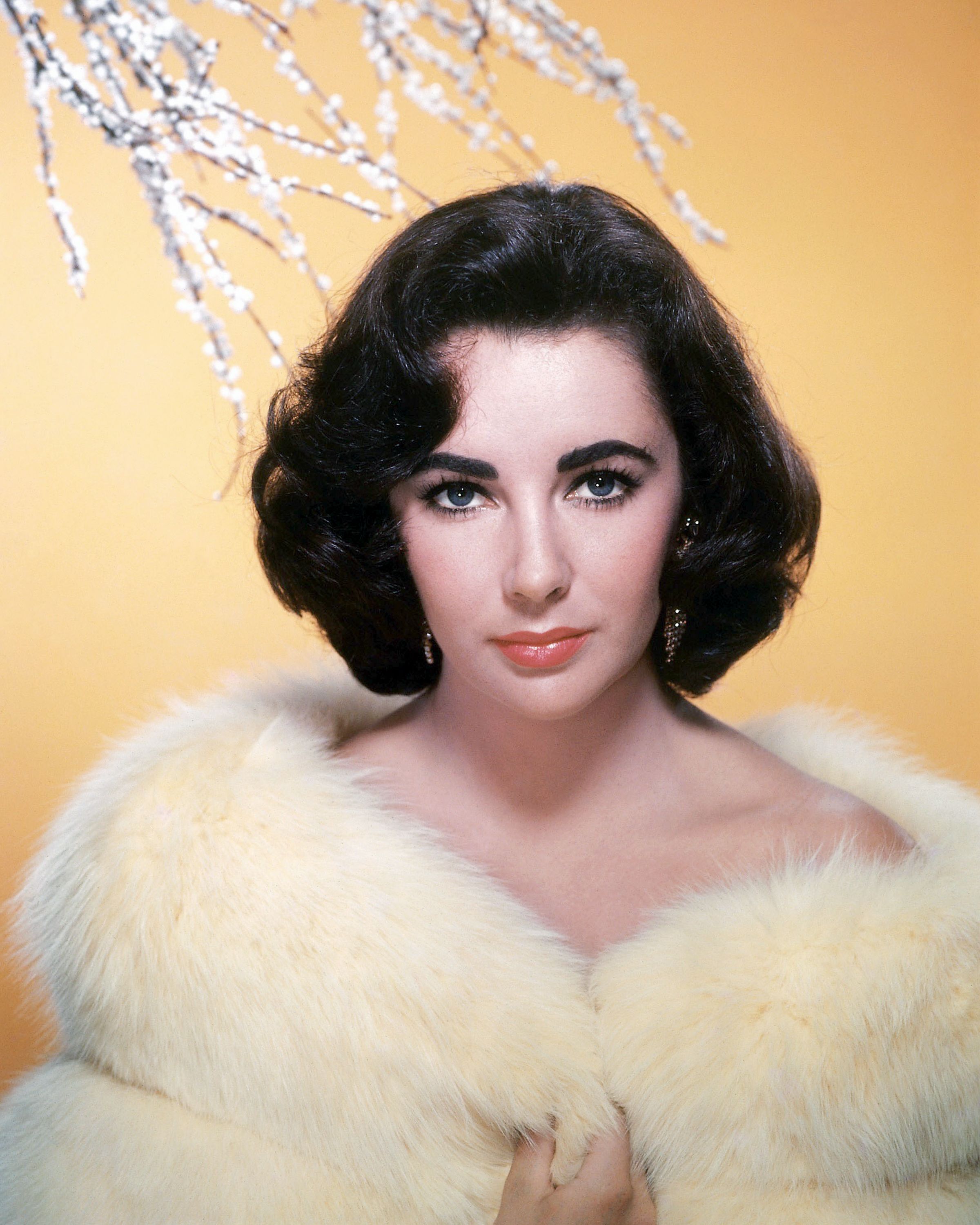 British-born American actress Elizabeth Taylor (1932 - 2011) in a white fur coat, circa 1955. (Photo by Silver Screen Collection/Getty Images