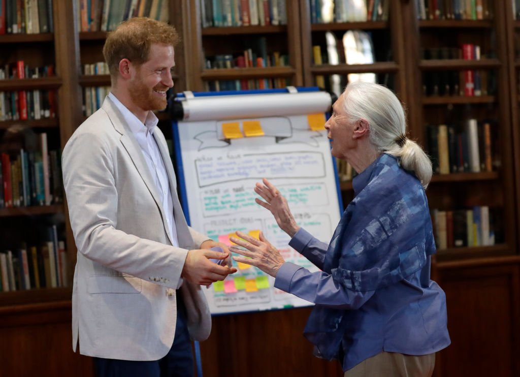 Prince Harry, Duke of Sussex and Dr Jane Goodall hug as he attends Dr. Jane Goodall's Roots & Shoots Global Leadership Meeting at Windsor Castle | Photo: Getty Images