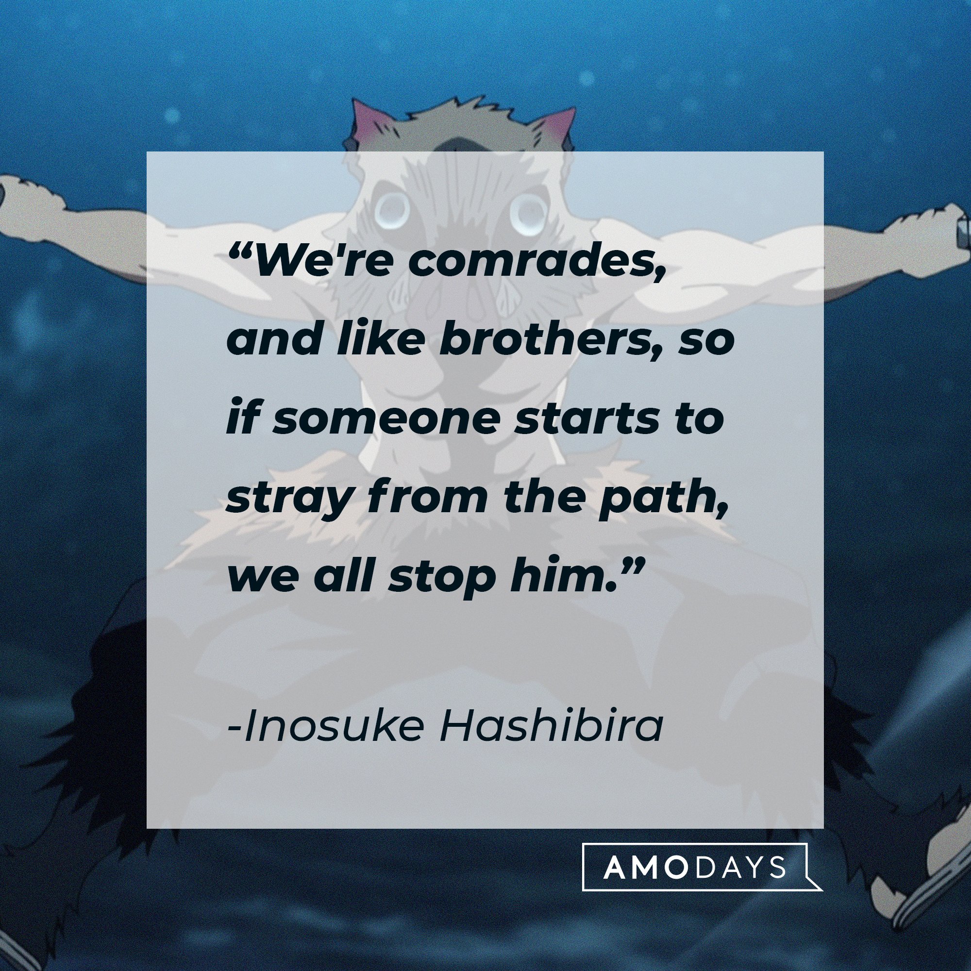Inosuke Hashibira’s quote: "We're comrades, and like brothers, so if someone starts to stray from the path, we all stop him." | Image: AmoDays