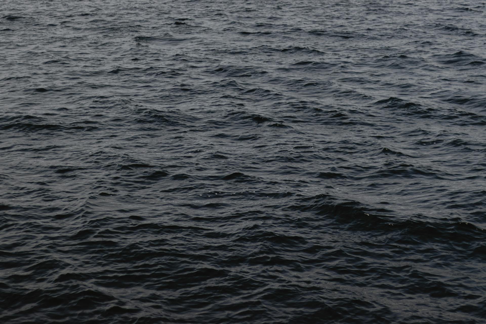 The surface of a body of water | Source: Pexels