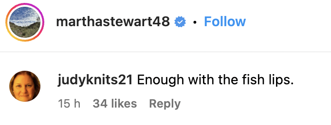 A comment left under a photo of Martha Stewart in April 2023 on Instagram | Source: instagram.com/marthastewart48/