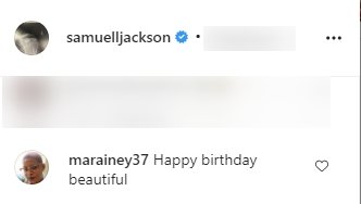 A fan's comment on a post for Cookie Johnson made by Samuel L. Jackson on Instagram | Photo: Instagram/samuelljackson