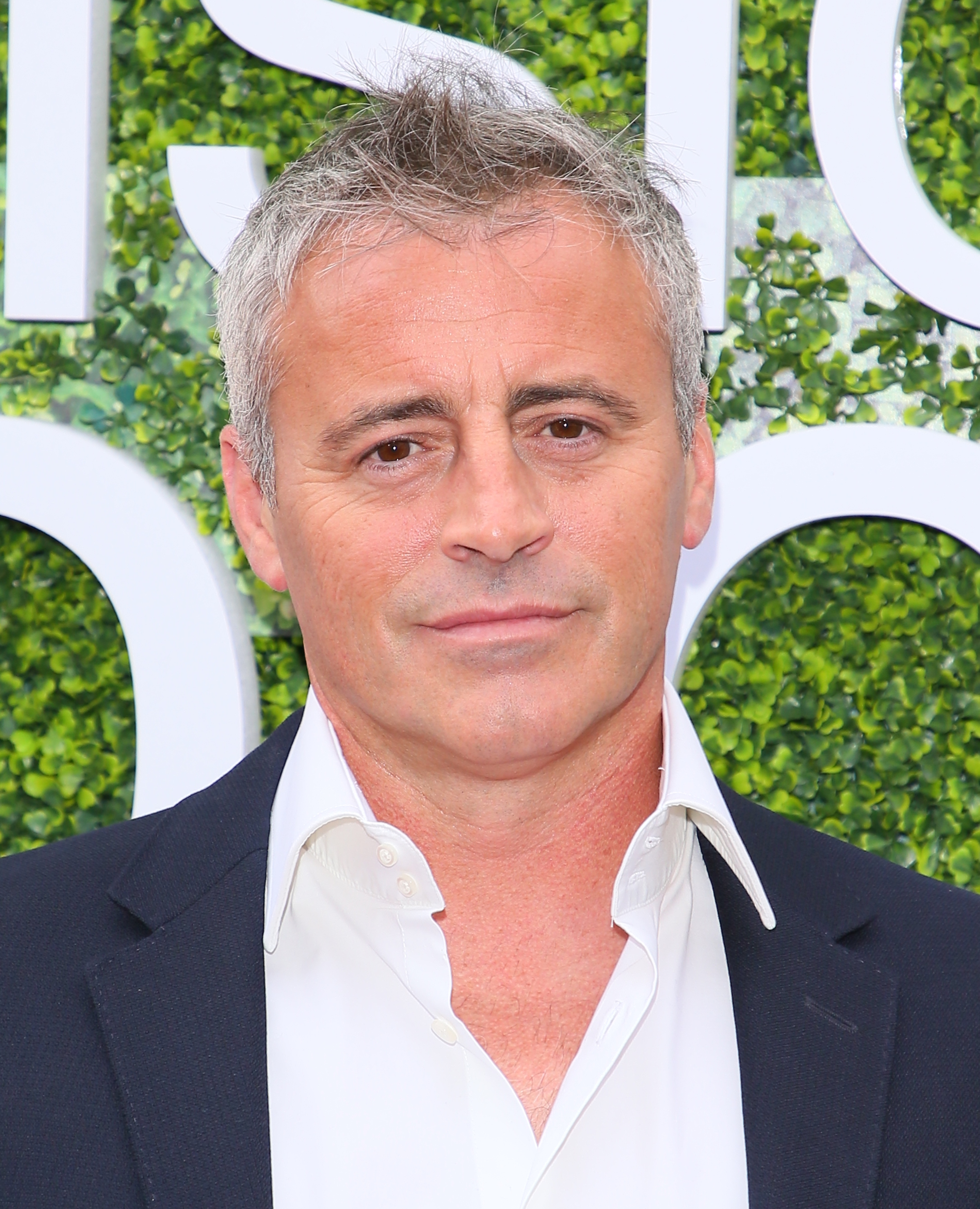 Matt LeBlanc at a Summer TCA Tour event in Studio City, California on August 1, 2017 | Source: Getty Images