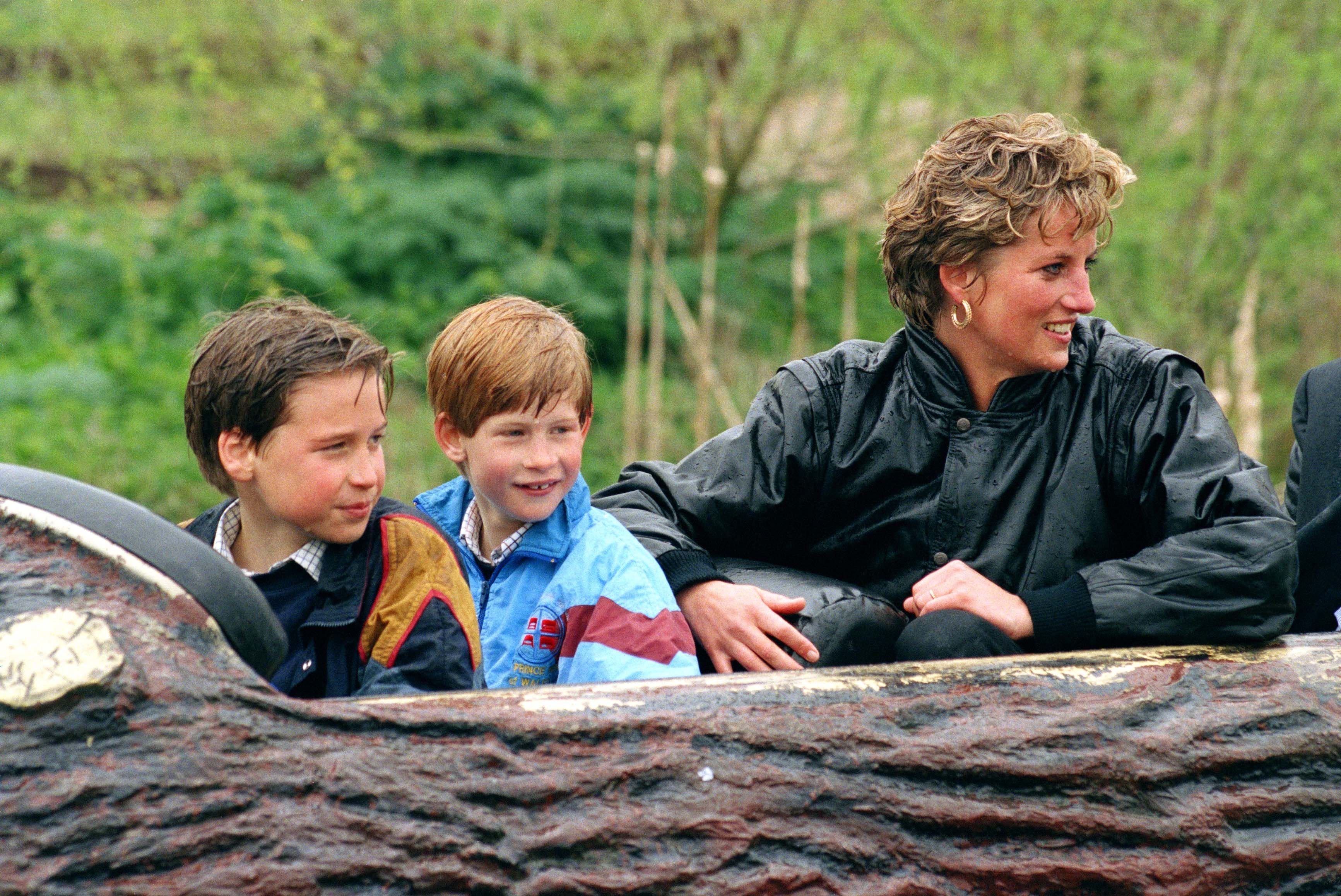 Diana Princess and sons Prince William and Prince Harry at The 'Thorpe Park' Amusement Park | Photo: Getty Images