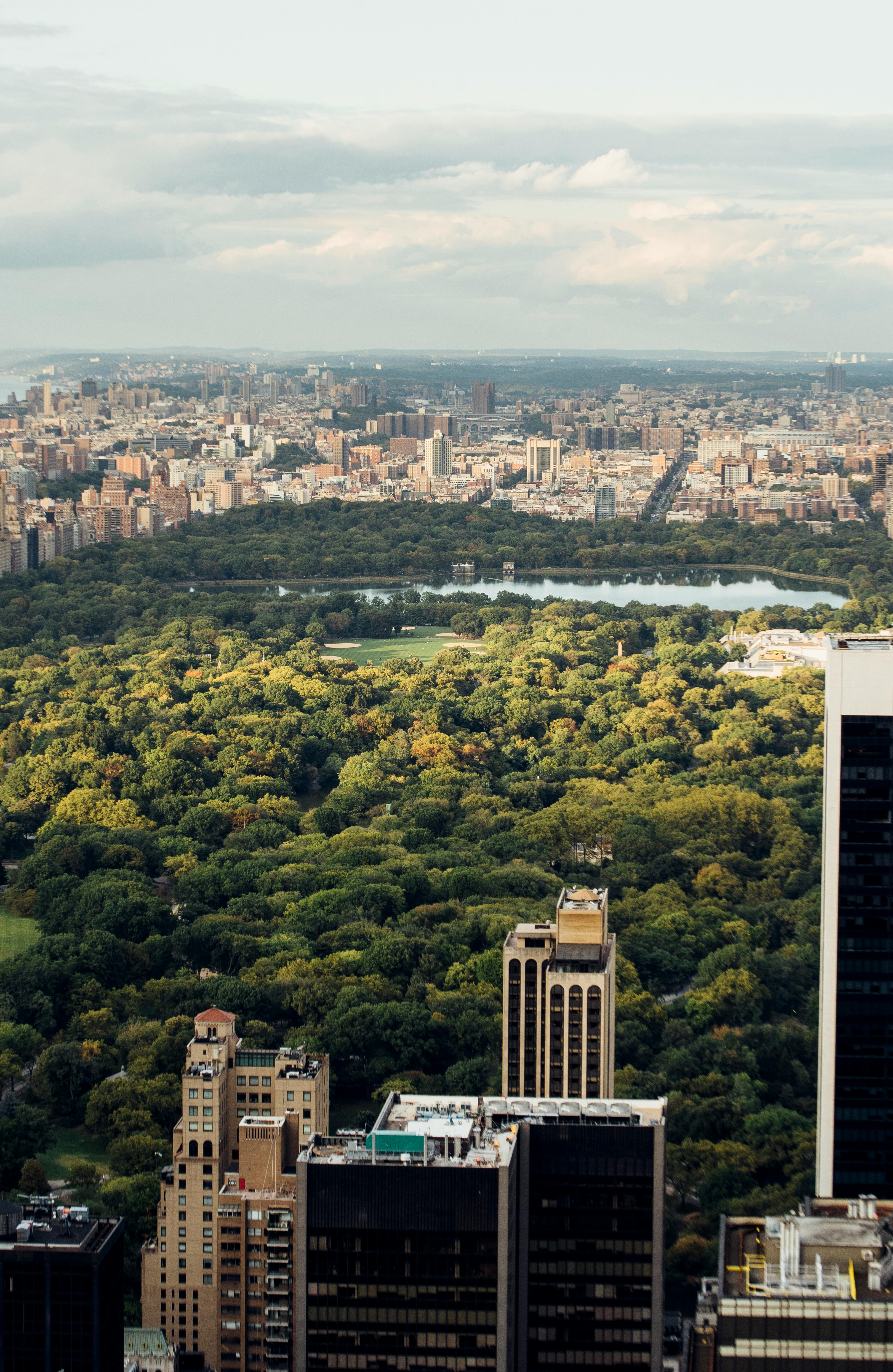 New York City pictured from above | Source: Pexels