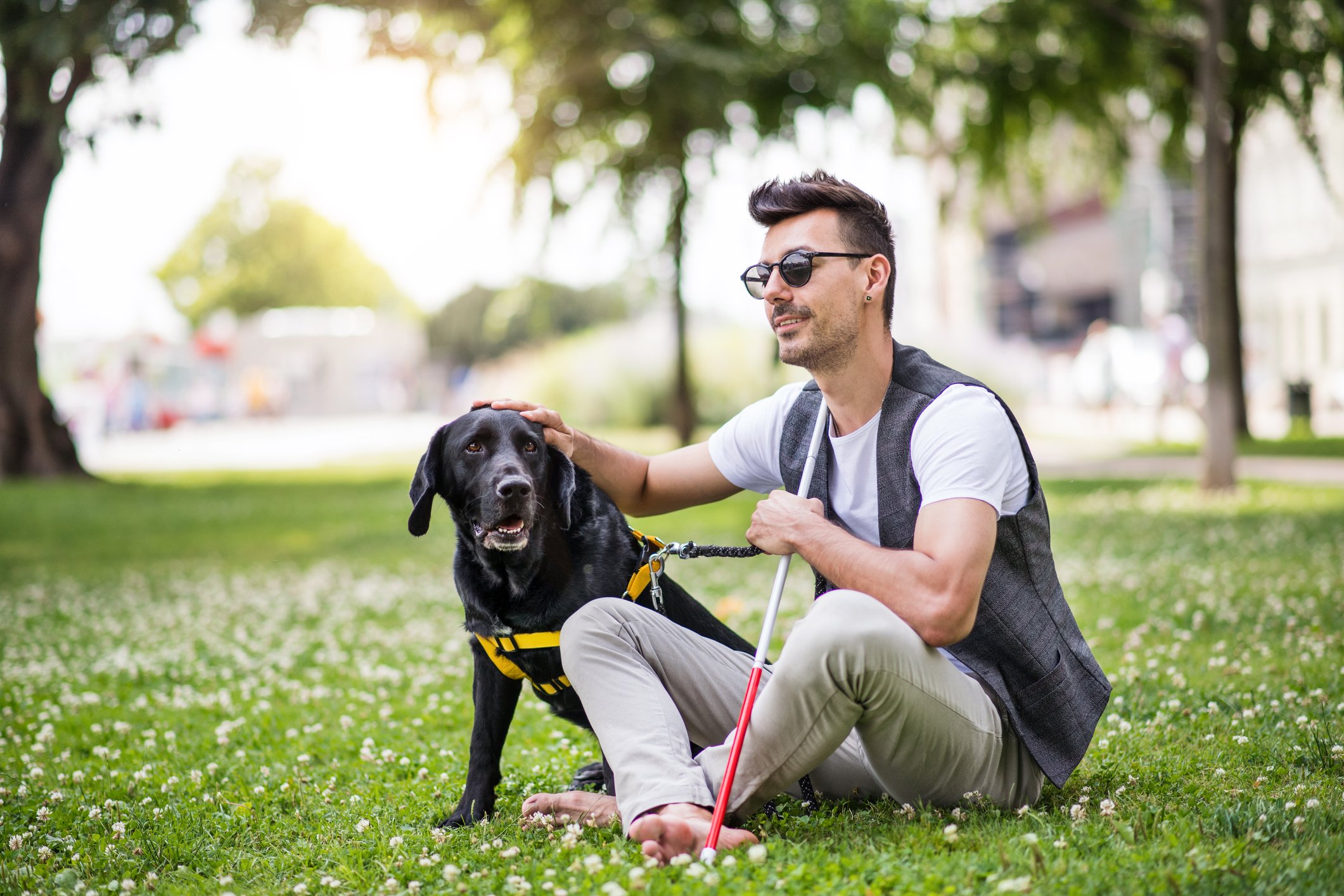 Junger blinder Mann mit weißem Rohr und Blindenhund sitzt im Park in der Stadt I Quelle: Getty Images