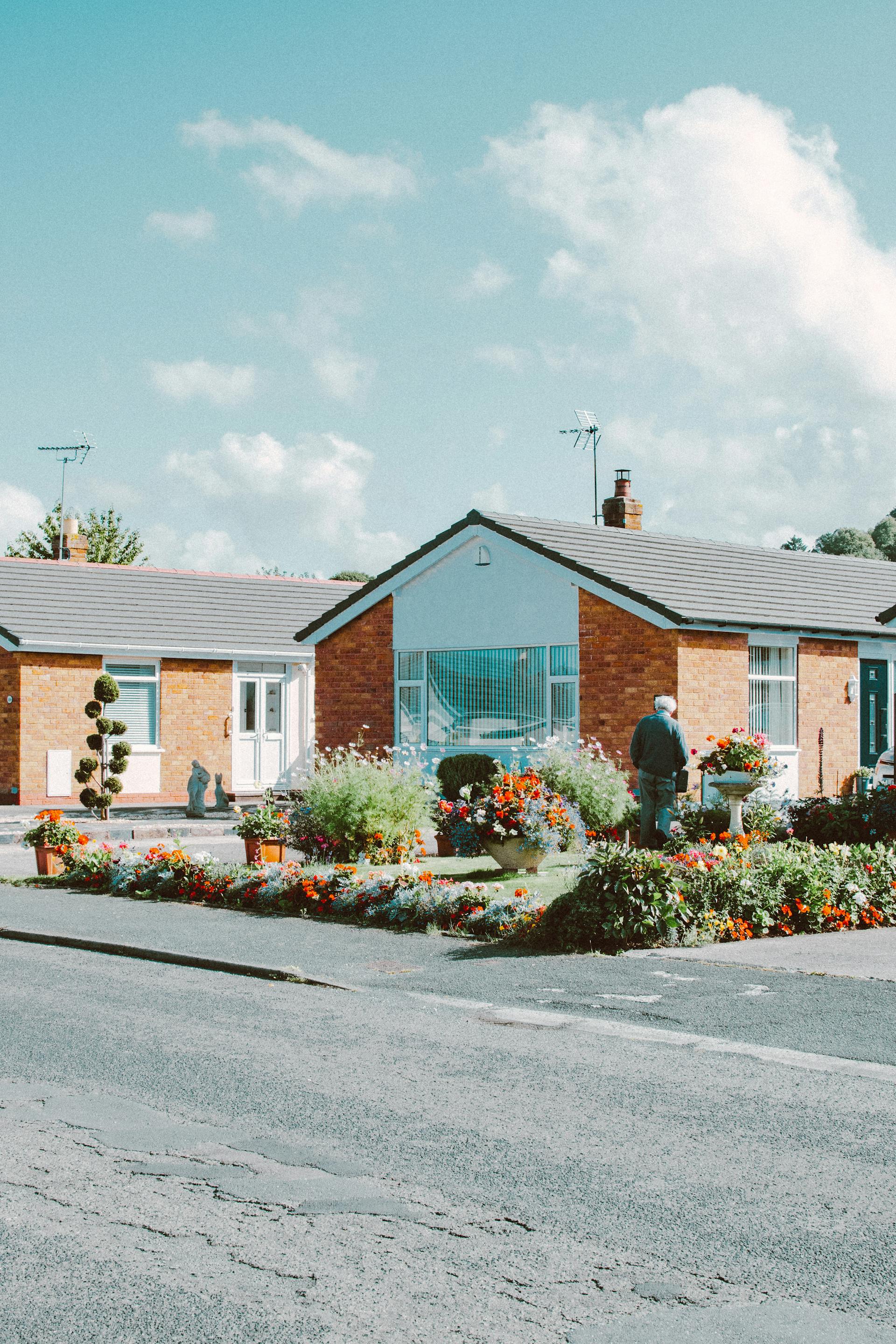 Houses near a road | Source: Pexels