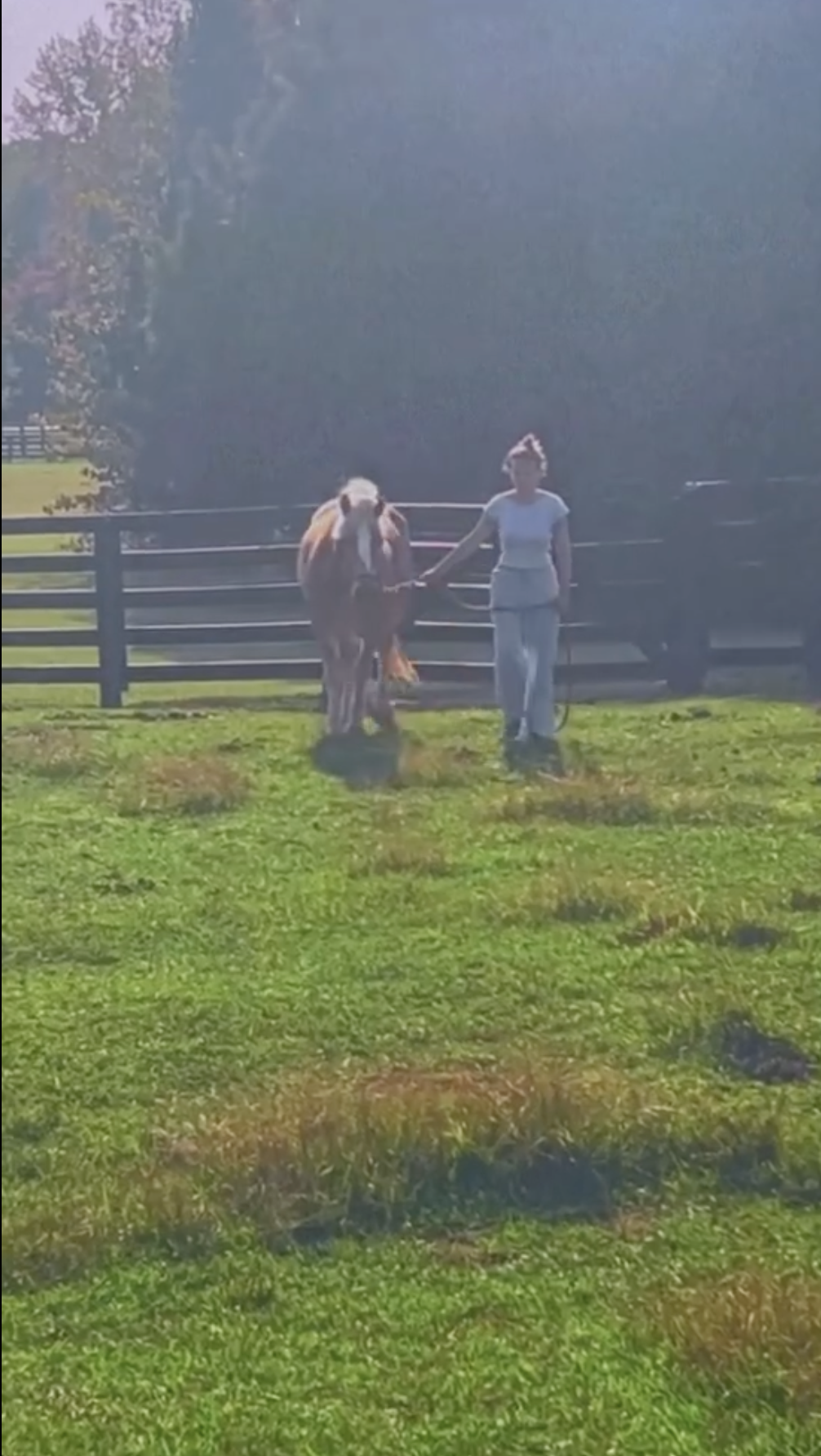 A look at Millie Bobby Brown Bongiovi's farm from a post dated December 8, 2024. | Source: Instagram/milliebobbybrown