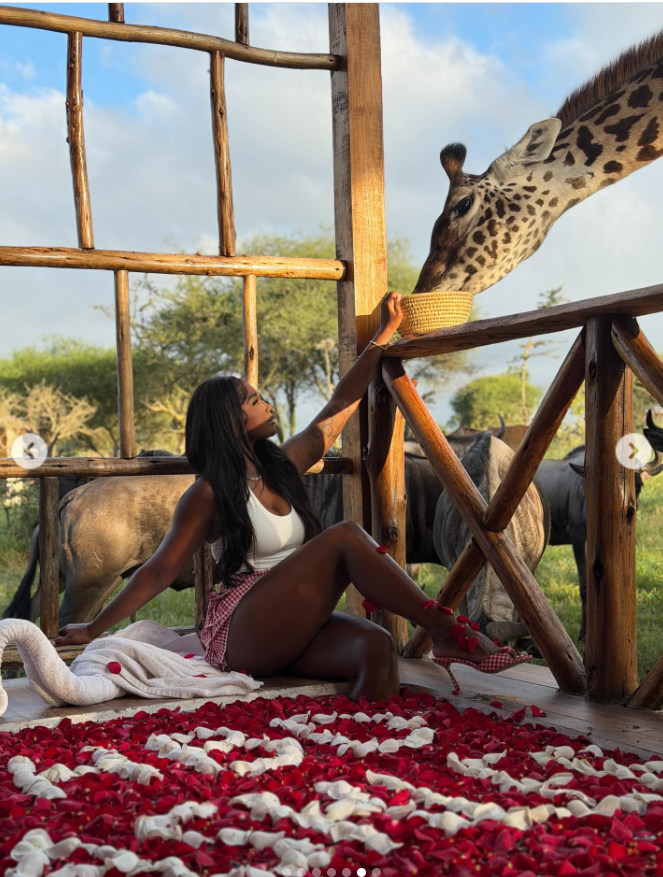 Seated amid a carpet of rose petals, Ashly Robinson reaches upward with quiet grace as the giraffe leans in. | Source: Instagram/ashleejenae