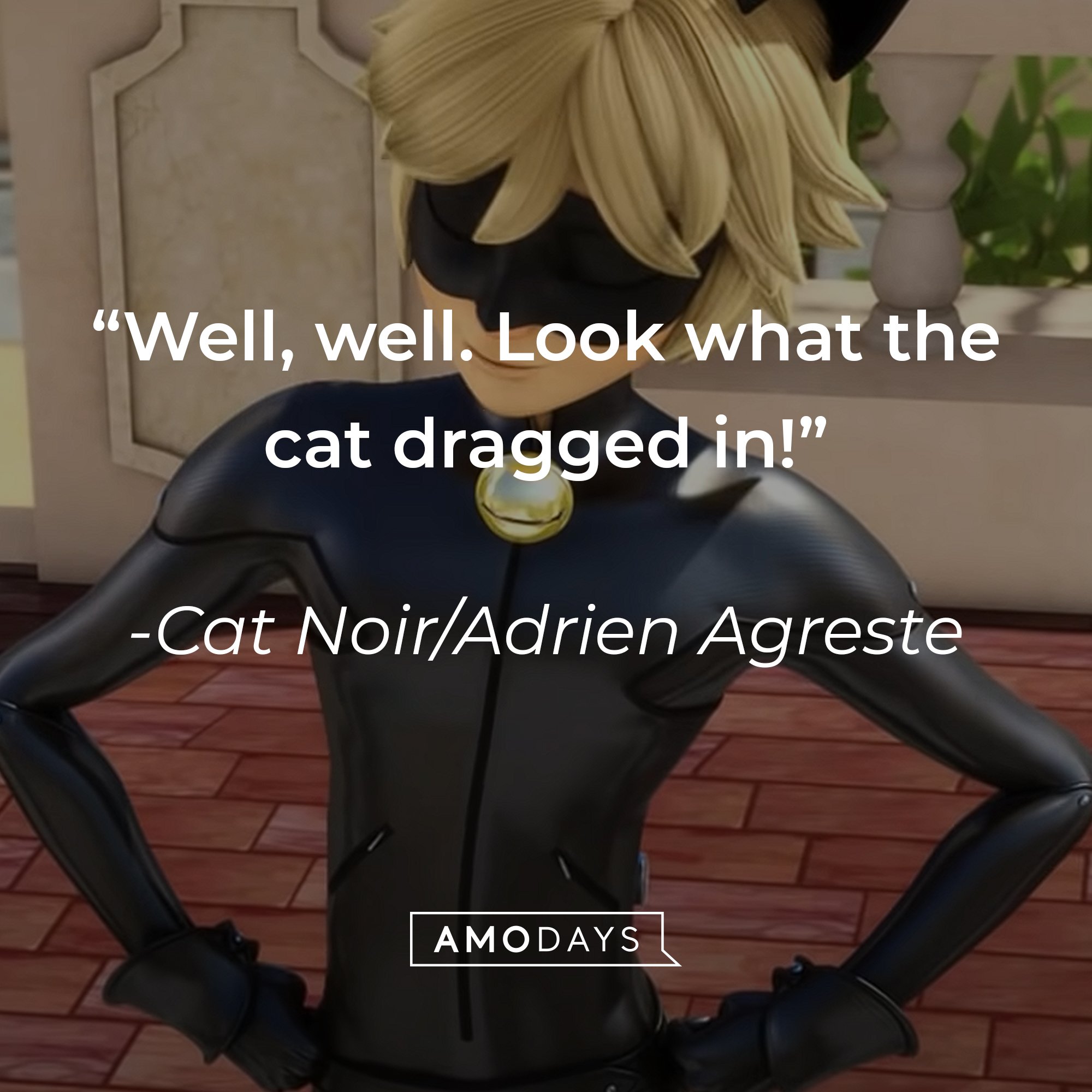  Cat Noir/Adrien Agreste’s quote: "Well, well. Look what the cat dragged in!” | Image: AmoDays 