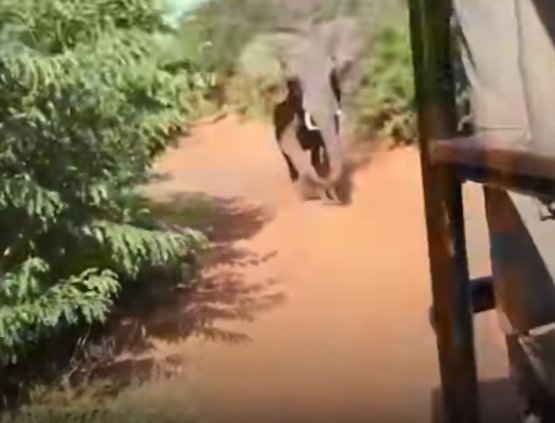 Source: Youtube, CGTN