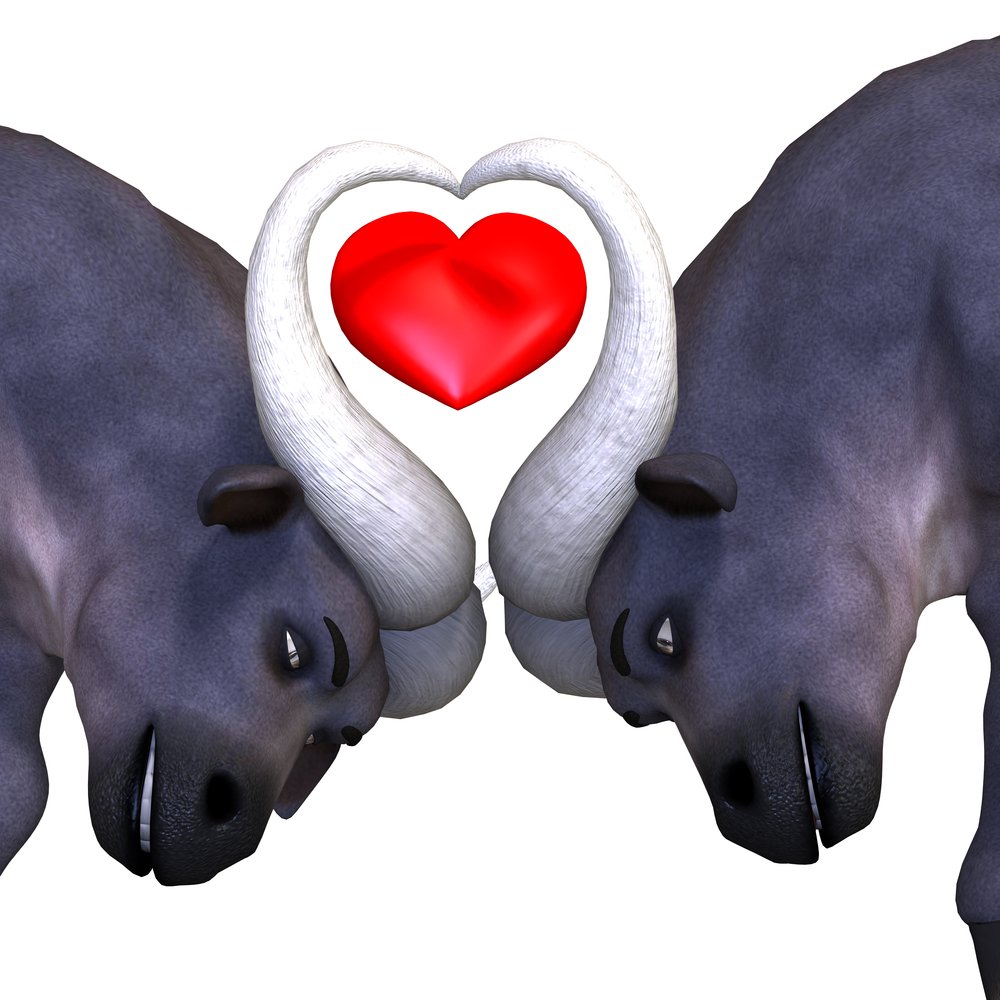 Los Tauro toman en cuenta a las personas que se visten bien.| Fuente: Shutterstock Los Tauro toman en cuenta a las personas que se visten bien.| Fuente: Shutterstock