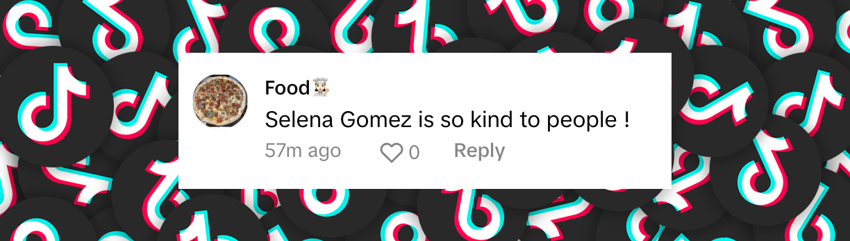 A fan comment dated October 16, 2024 | Source: TikTok/@tmz