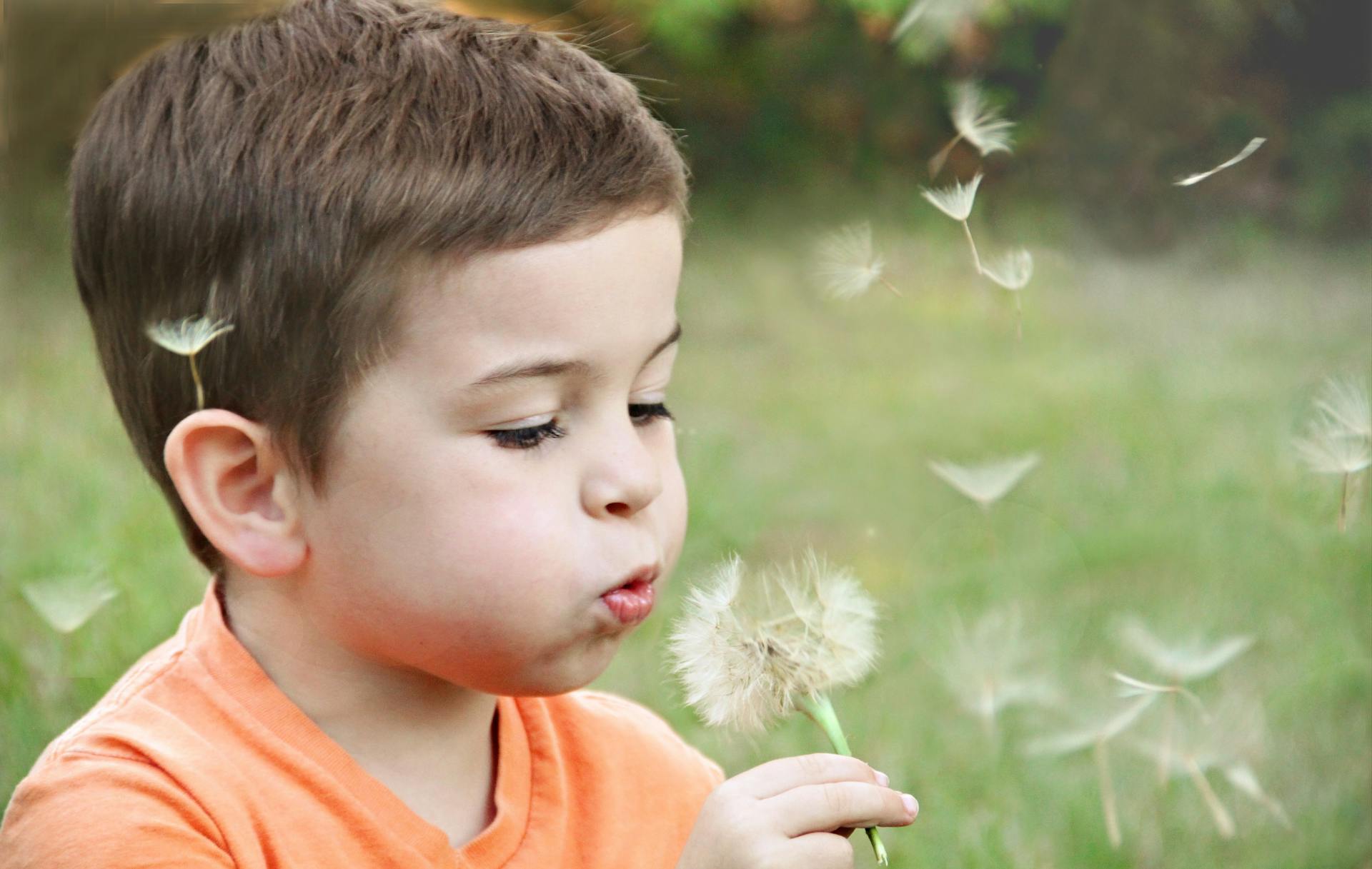 Little boy blowing on a dandelion | Source: Pexels