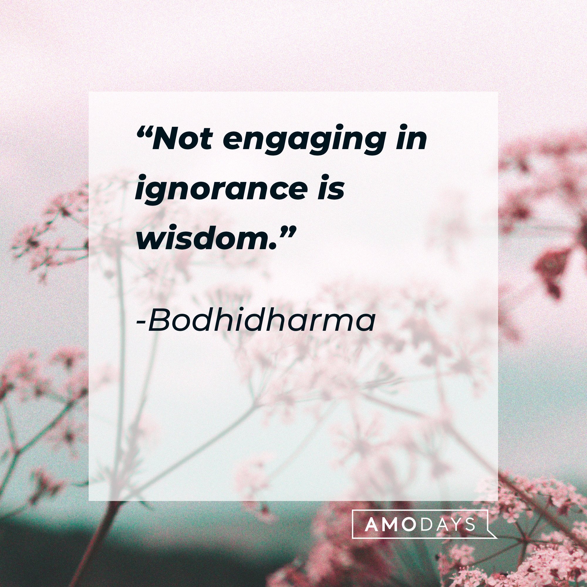 Bodhidharma's quote: “Not engaging in ignorance is wisdom.” | Image: AmoDays