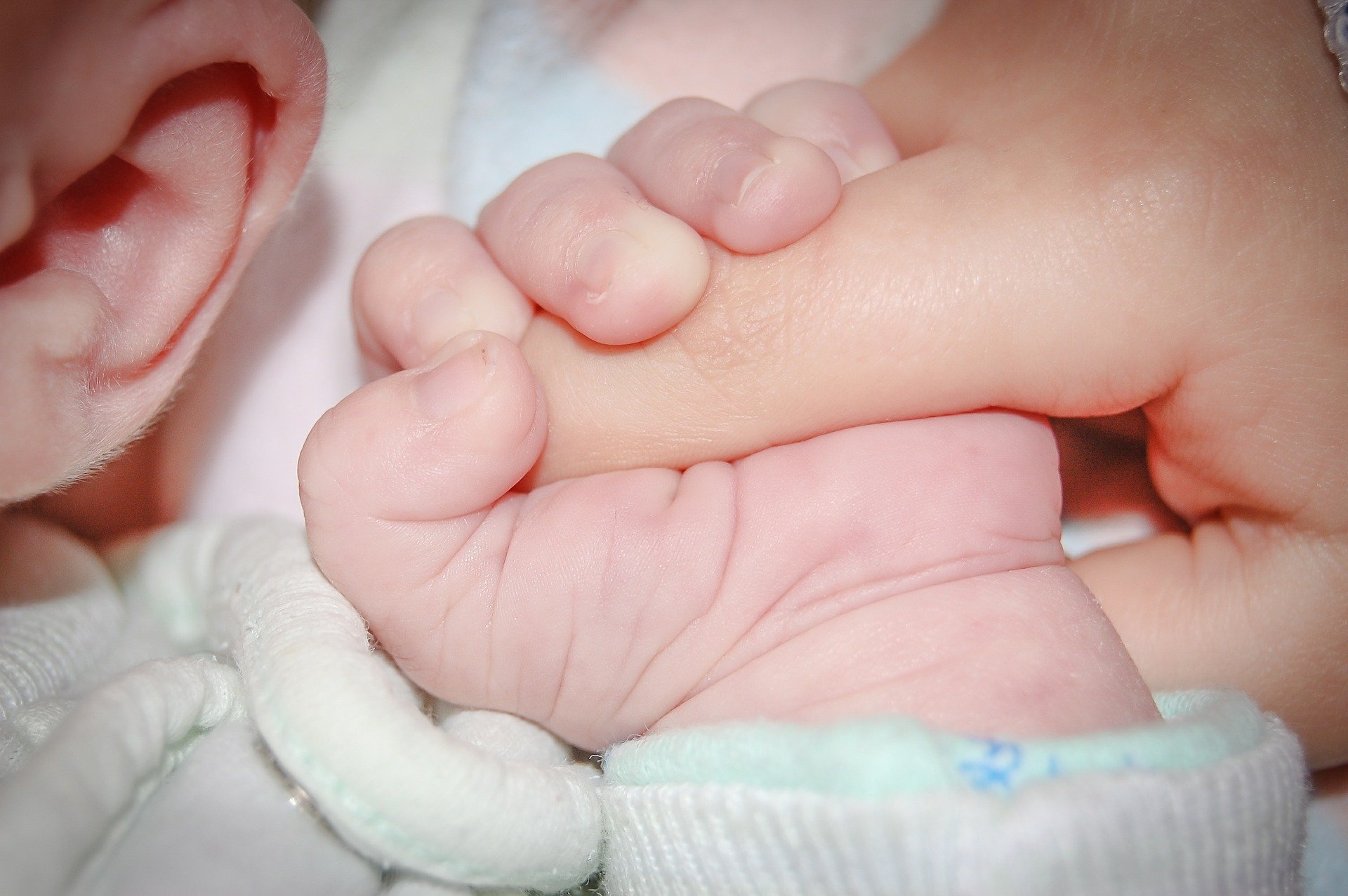 Bebé sosteniendo el dedo de un adulto. │Foto: Pixabay