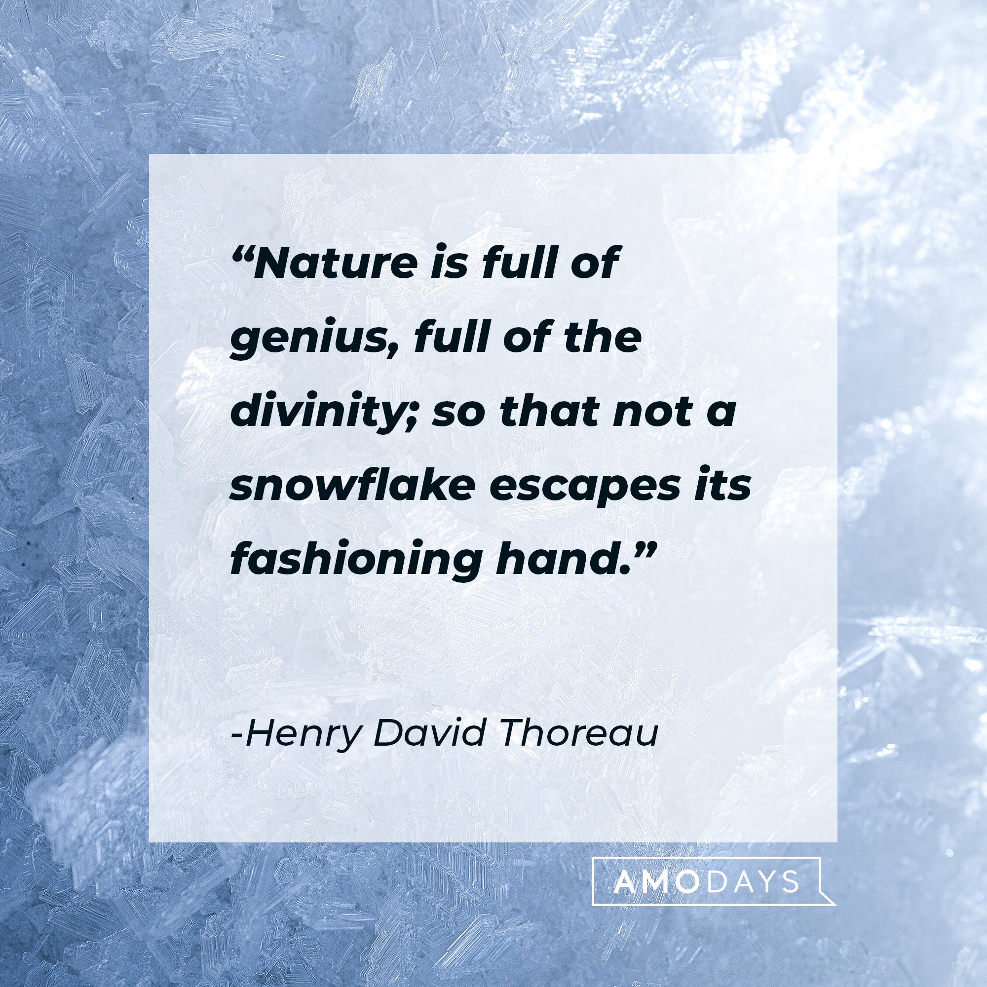  Henry David Thoreau’s quote: "Nature is full of genius, full of the divinity; so that not a snowflake escapes its fashioning hand." | Image: AmoDays