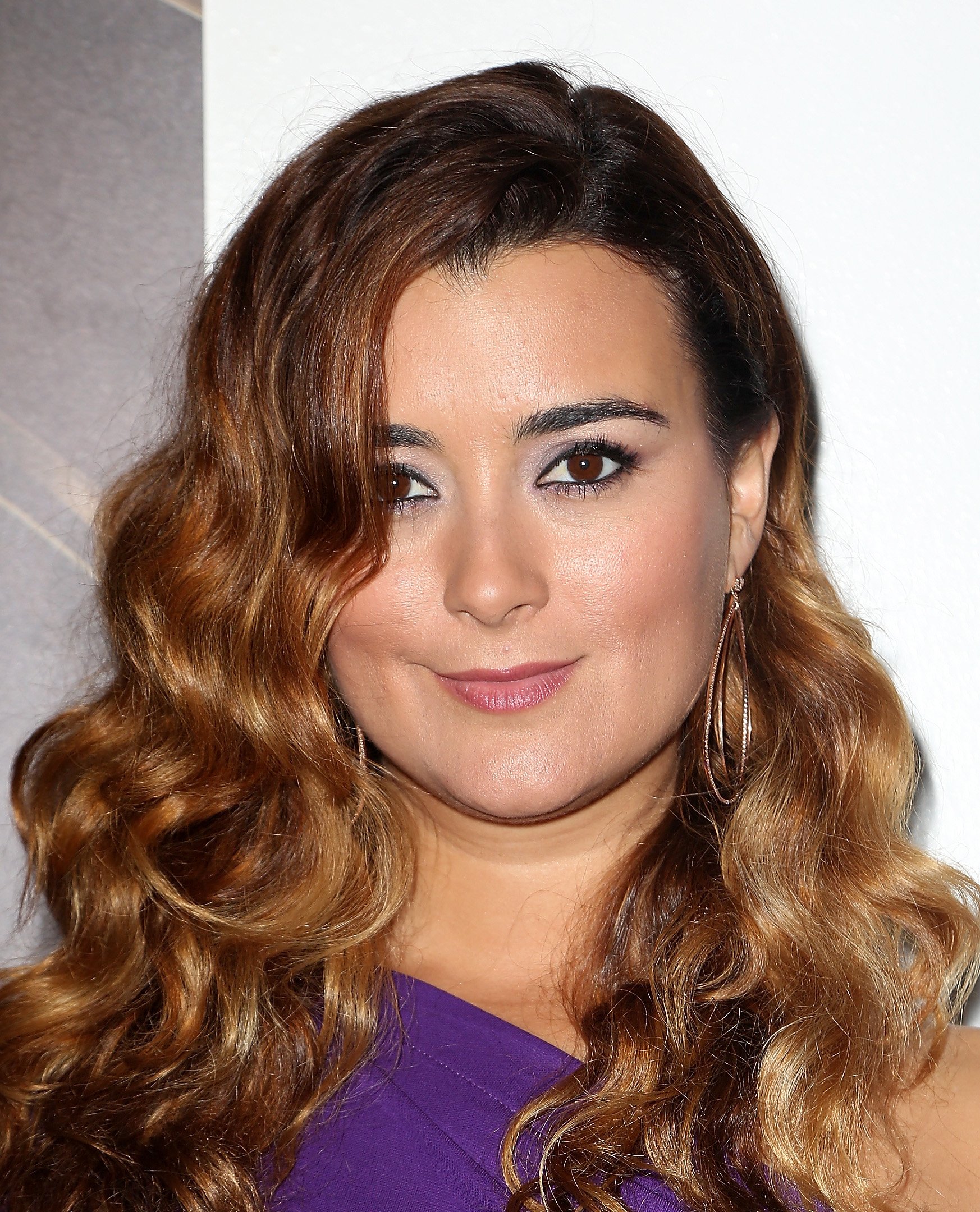Headshot of Cote de Pablo at the 14th Annual Latin Grammy Awards on November 21, 2013, in Las Vegas | Source: Getty Images