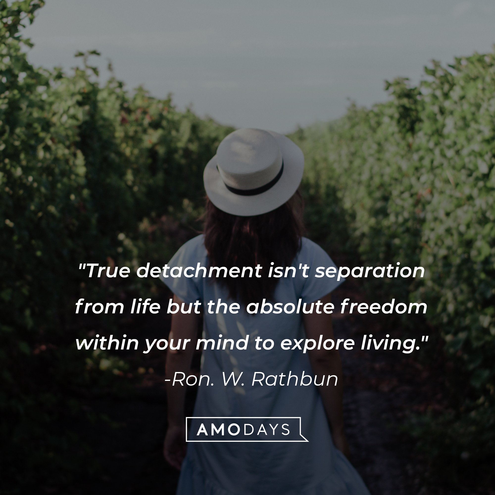 Ron. W. Rathbun's quote: "True detachment isn't separation from life but the absolute freedom within your mind to explore living." | Image: AmoDays