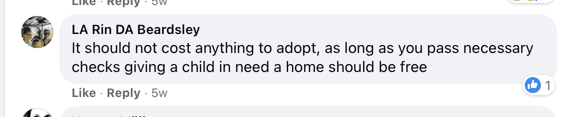 Comment under a post about a young boy pleading to be adopted. | Photo: facebook.com/depelchin