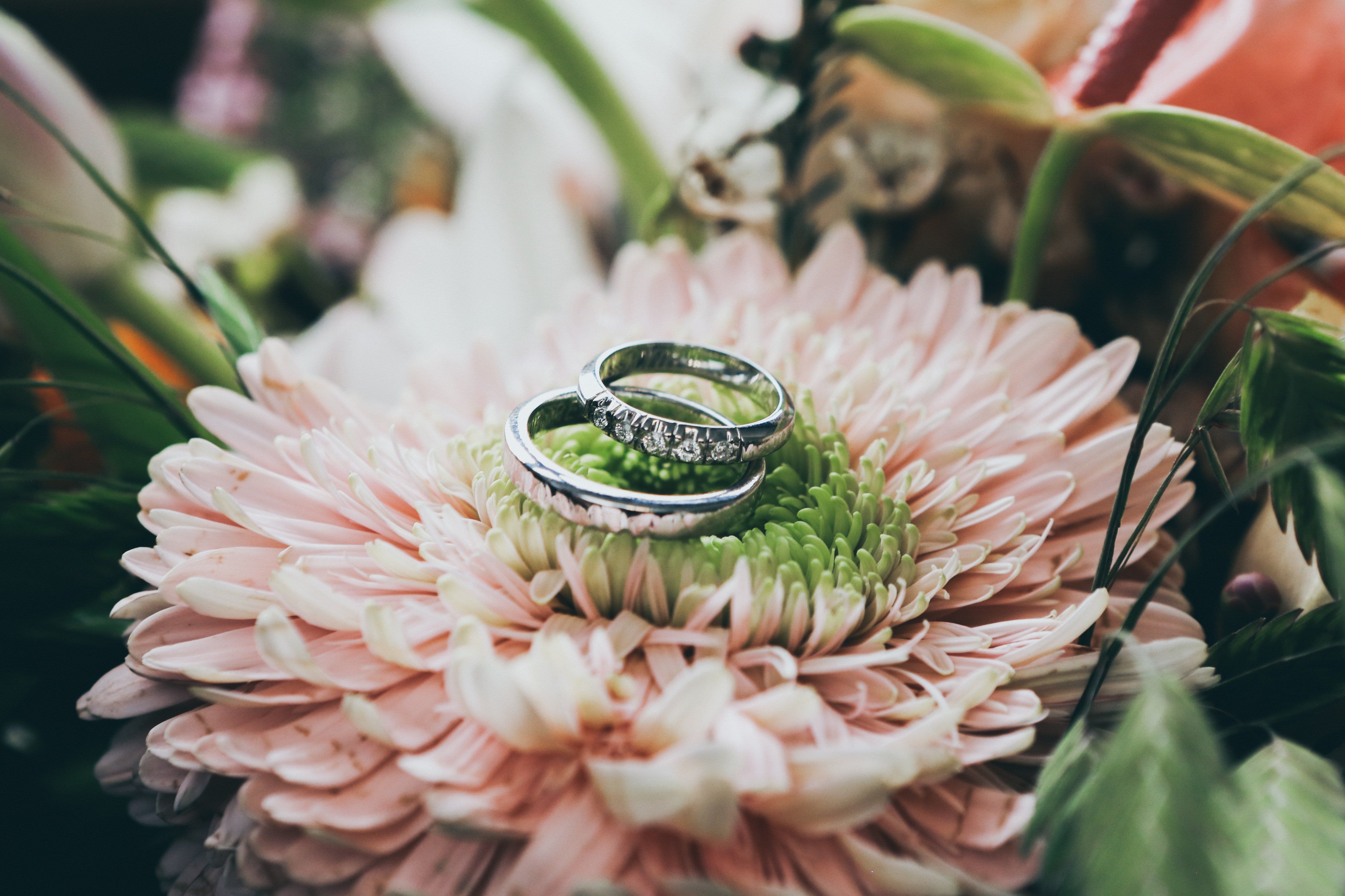 Des alliances sur un bouquet de mariée. l Source: Unsplash Des alliances sur un bouquet de mariée. l Source: Unsplash