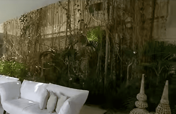 Selva interna en la mansión de Xuxa. | Foto: Captura de Youtube/ Ilha X Play